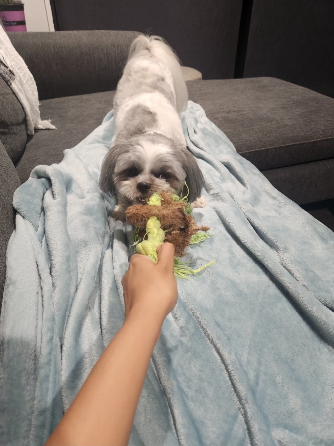 image-10