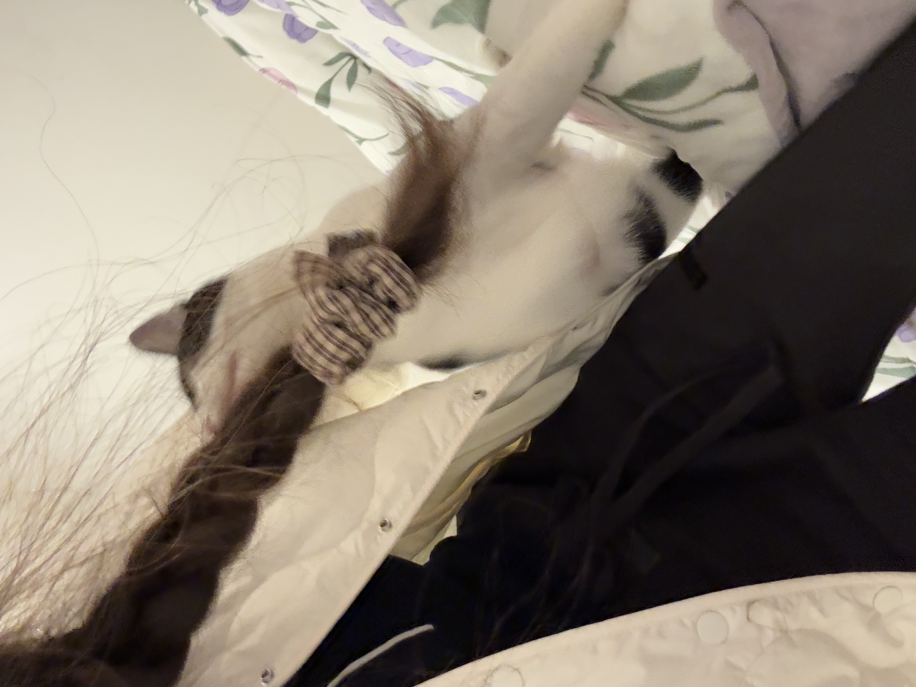 image-7