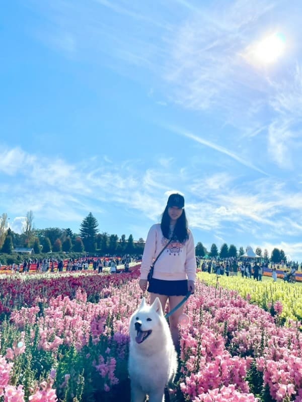 image-32