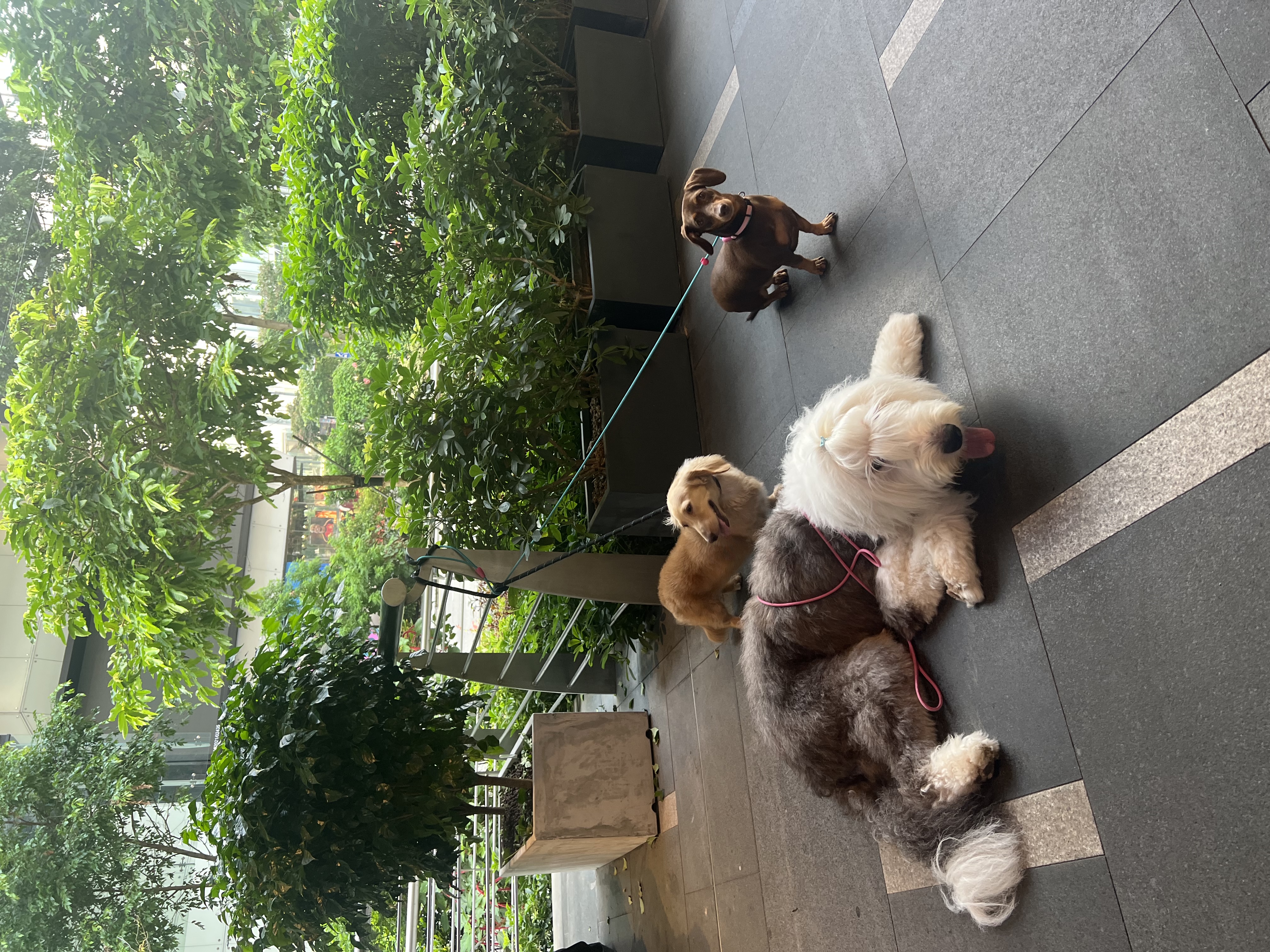 image-21