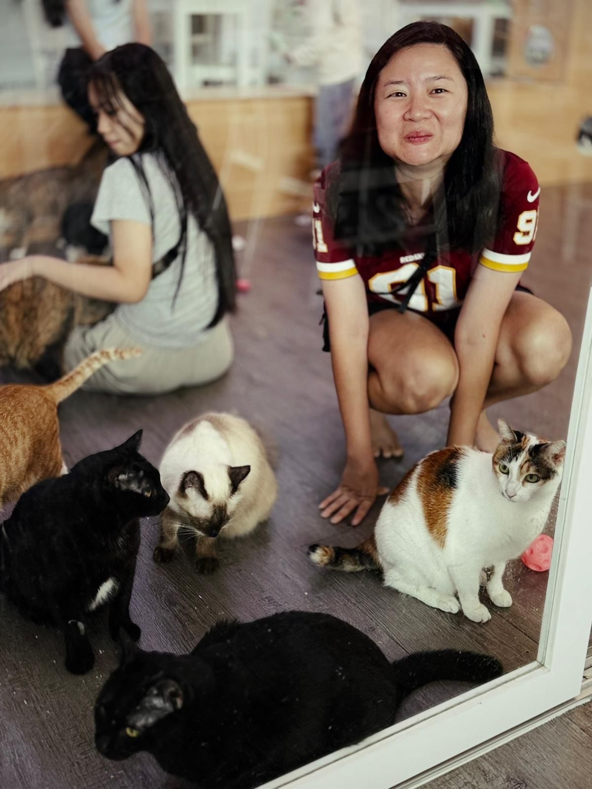image-5
