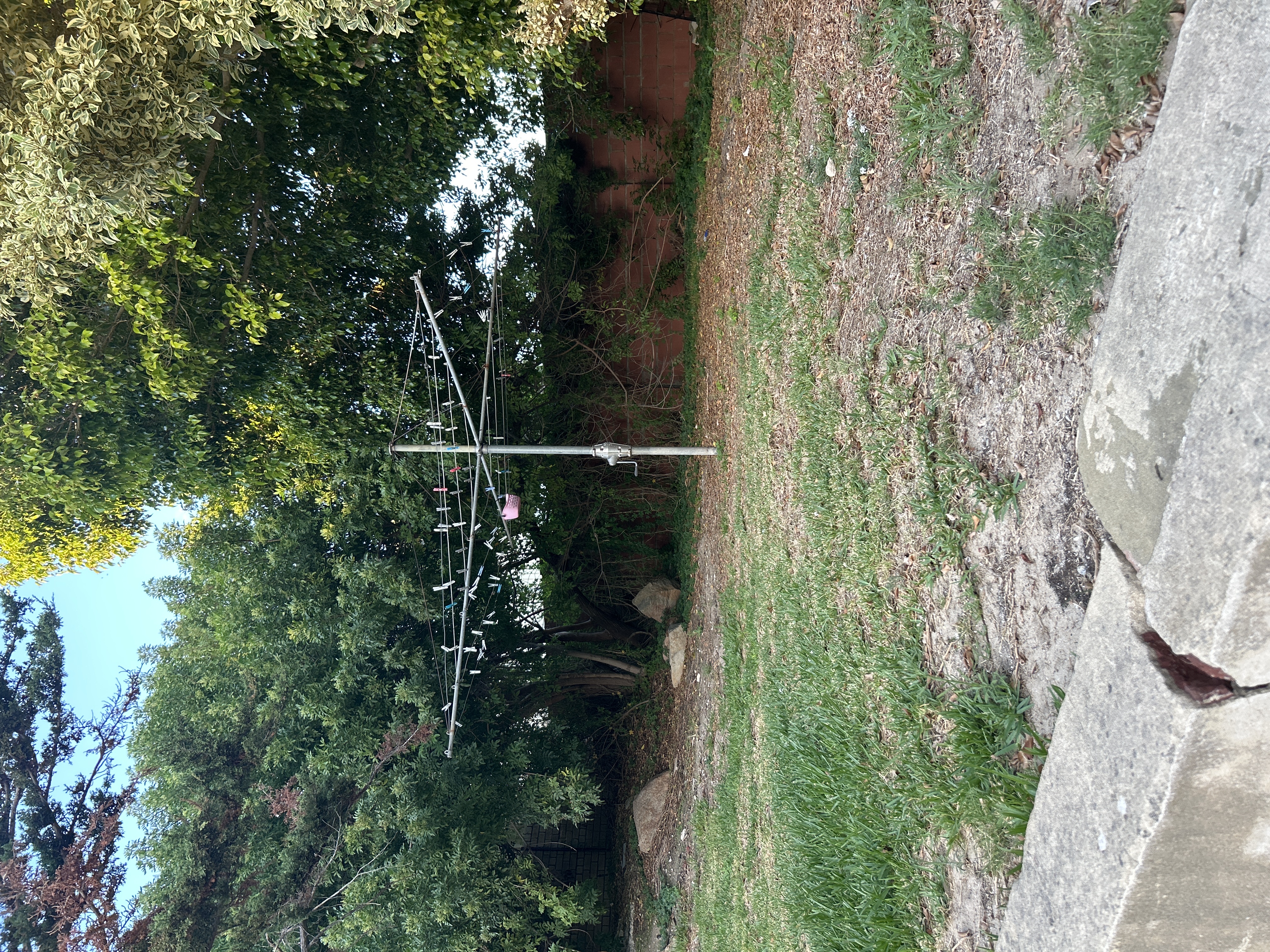 image-19