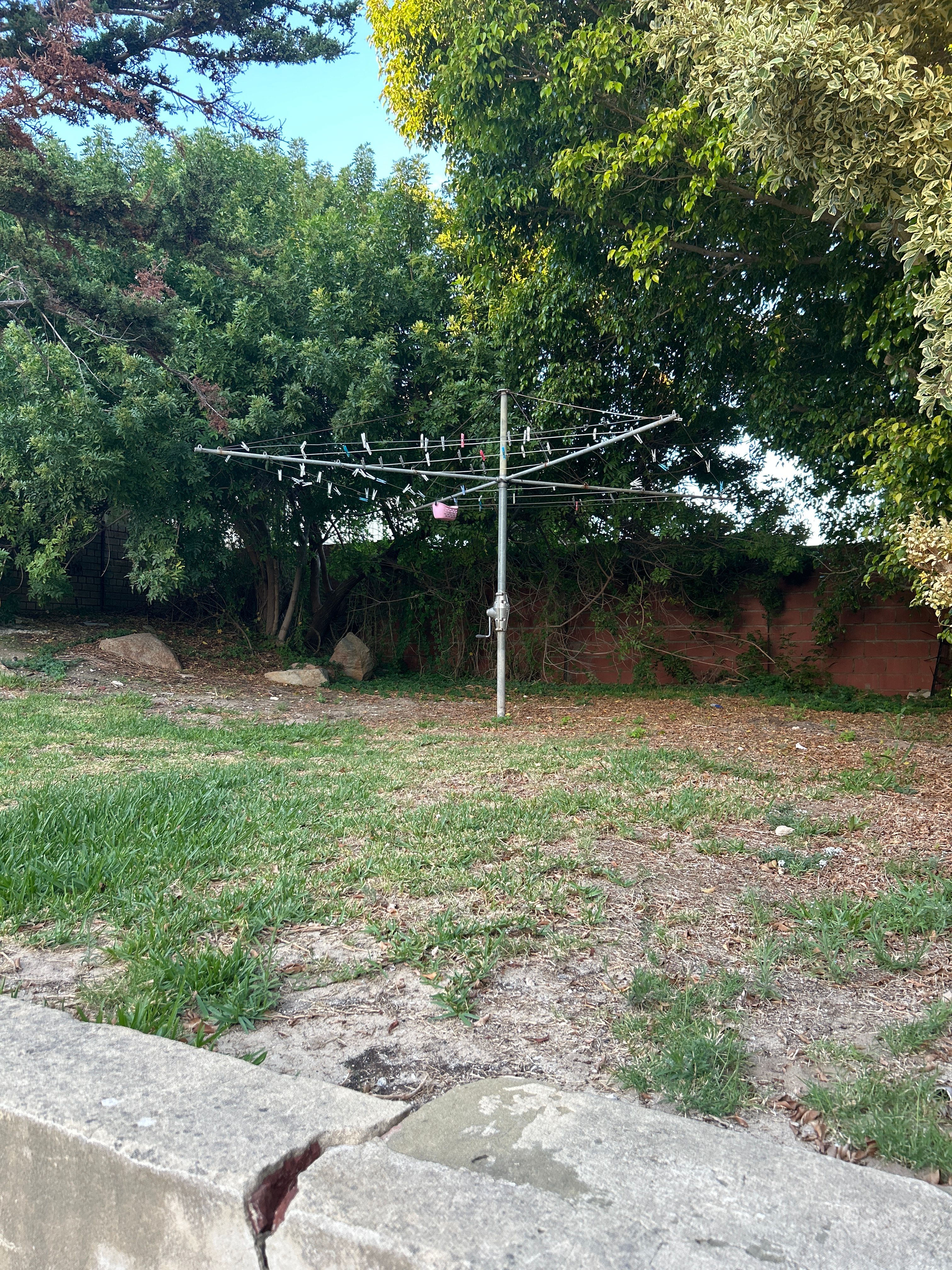 image-19