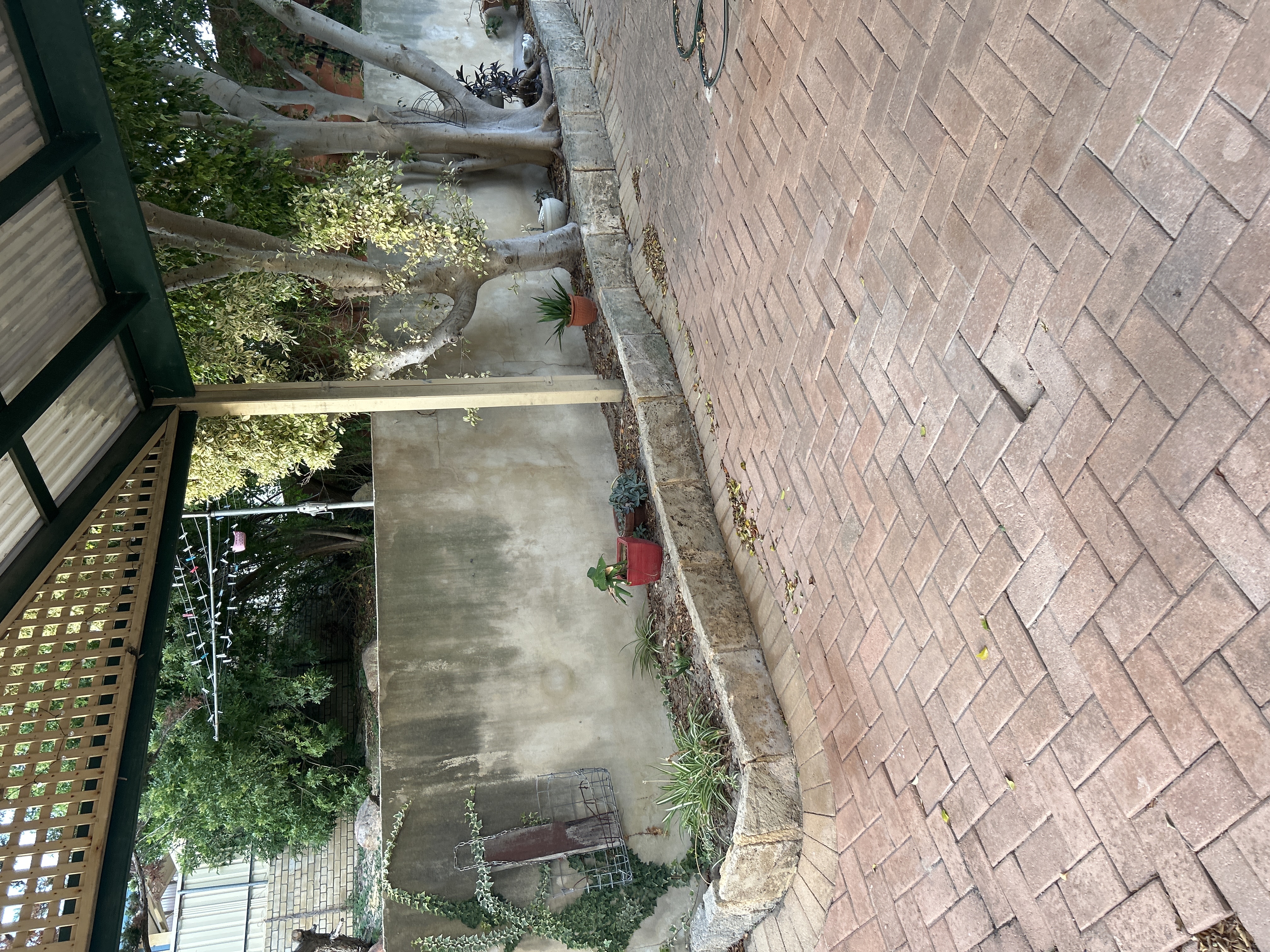 image-17
