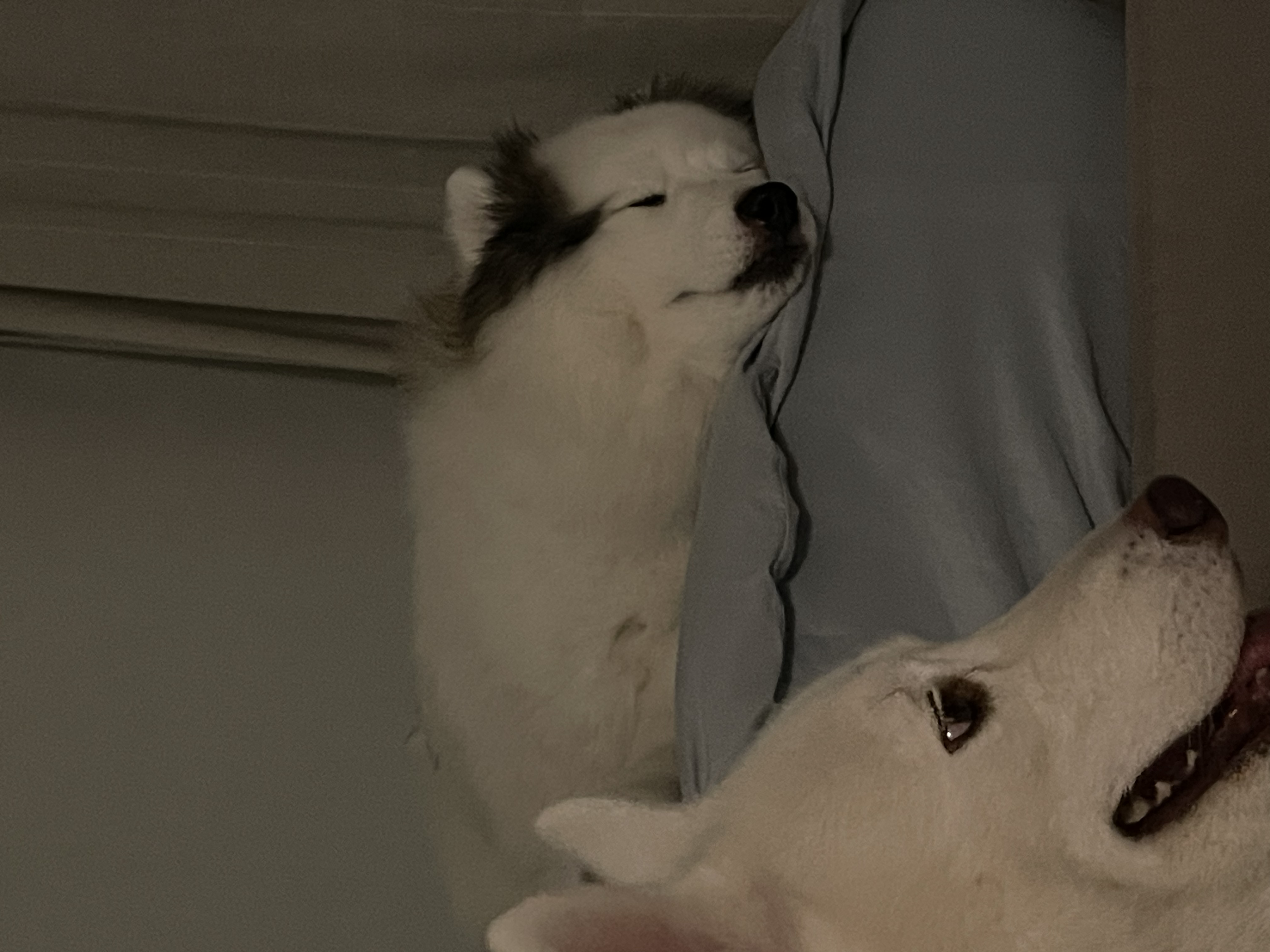 image-14
