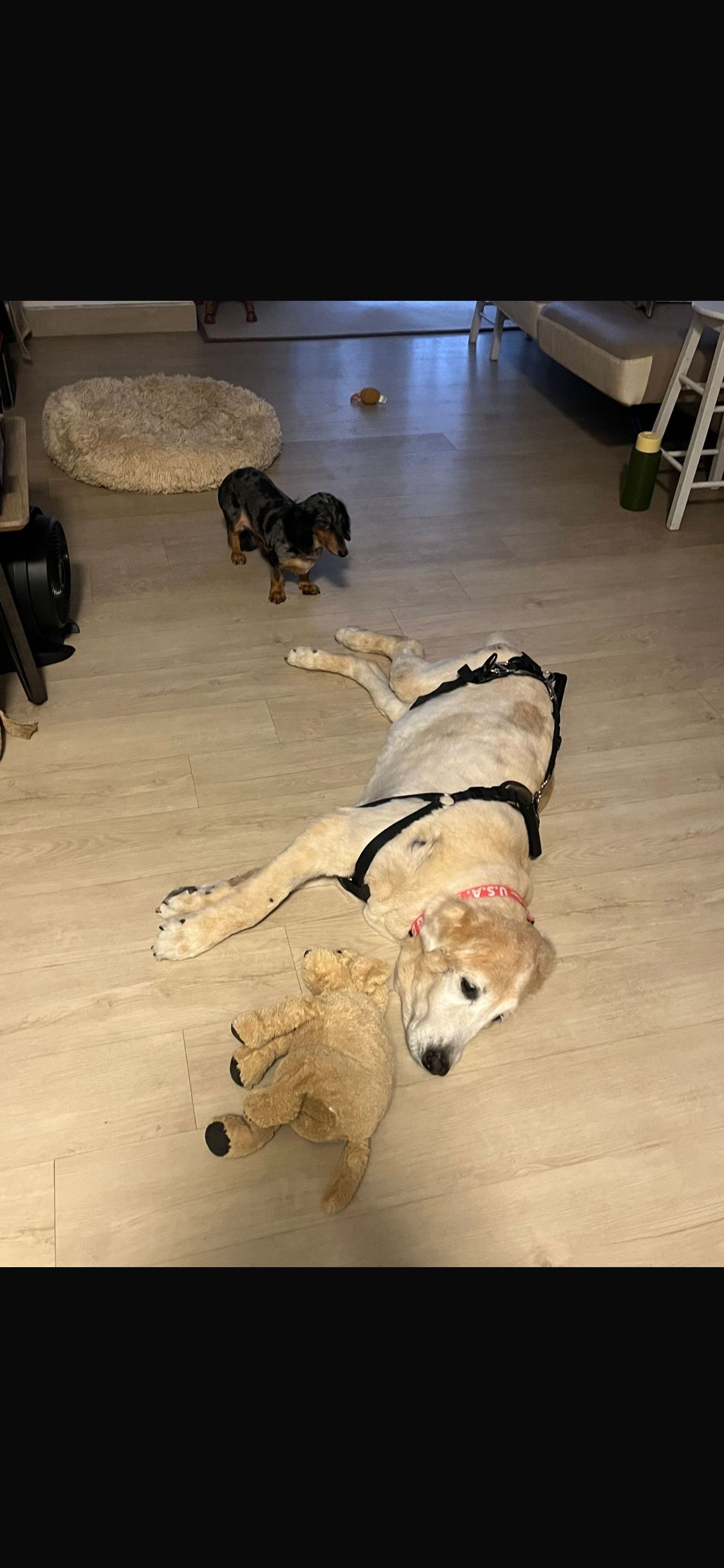 image-18