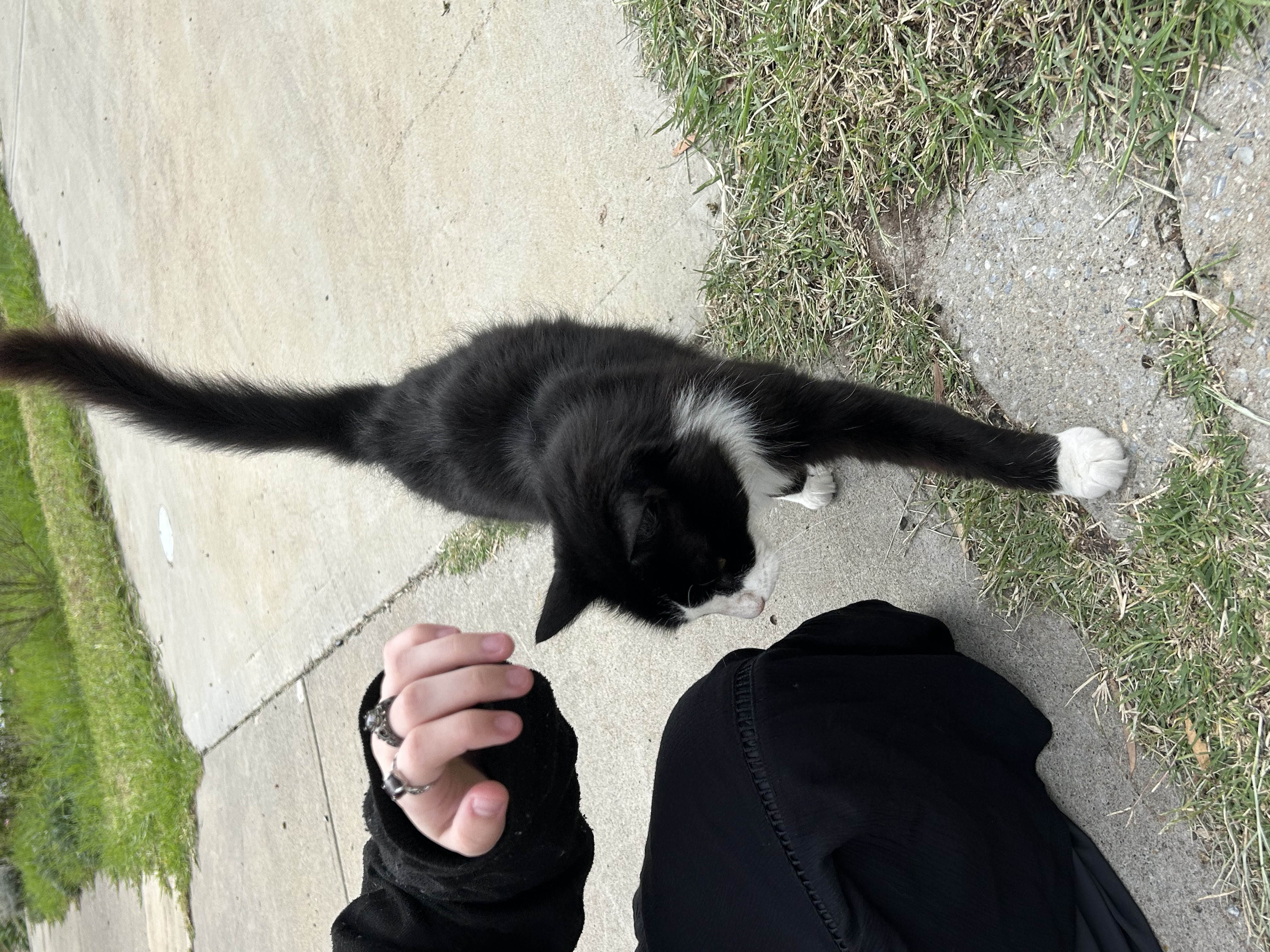 image-8