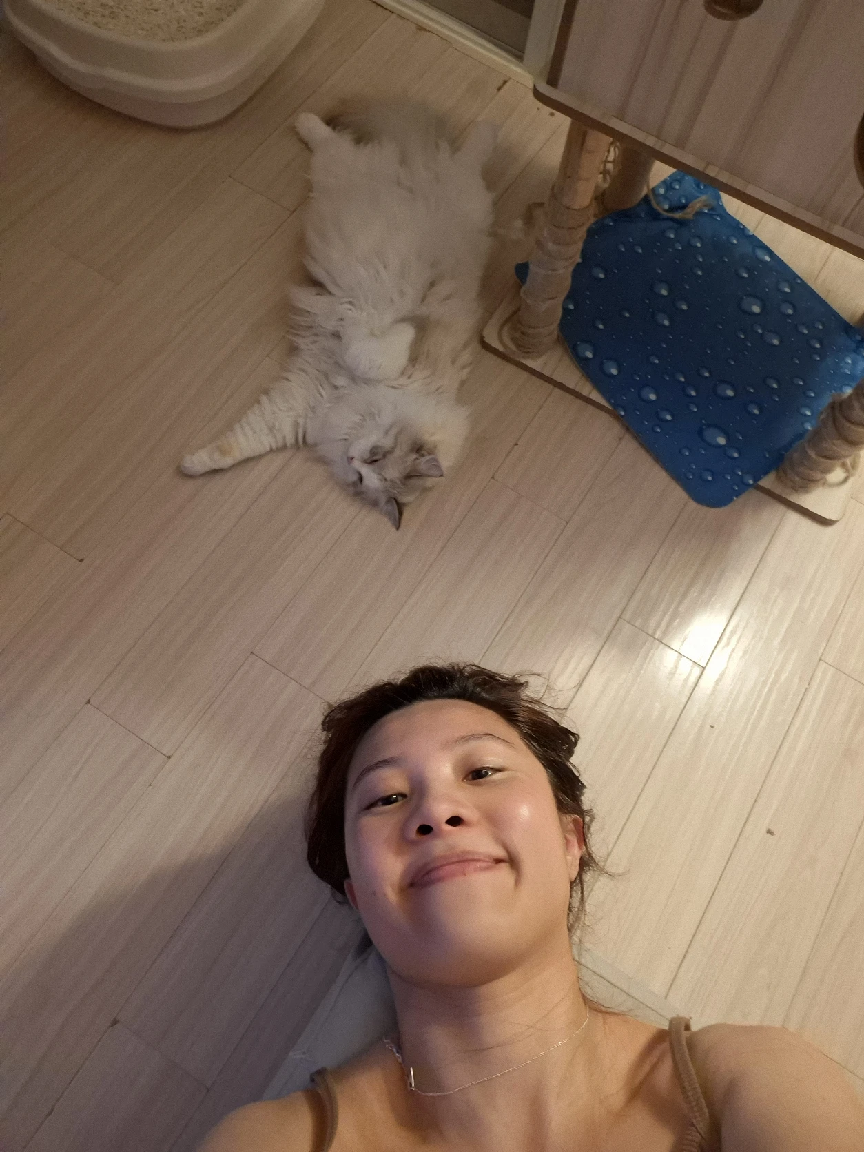 image-8