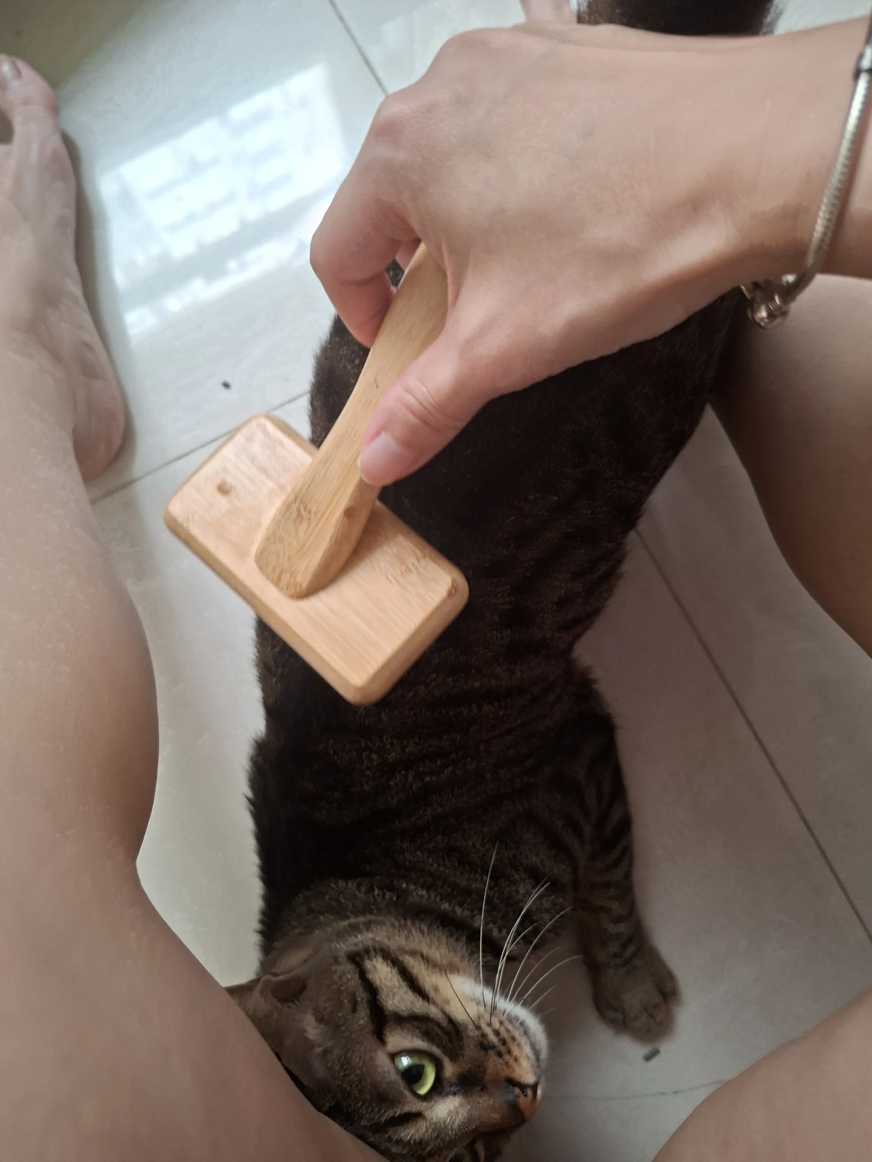 image-7