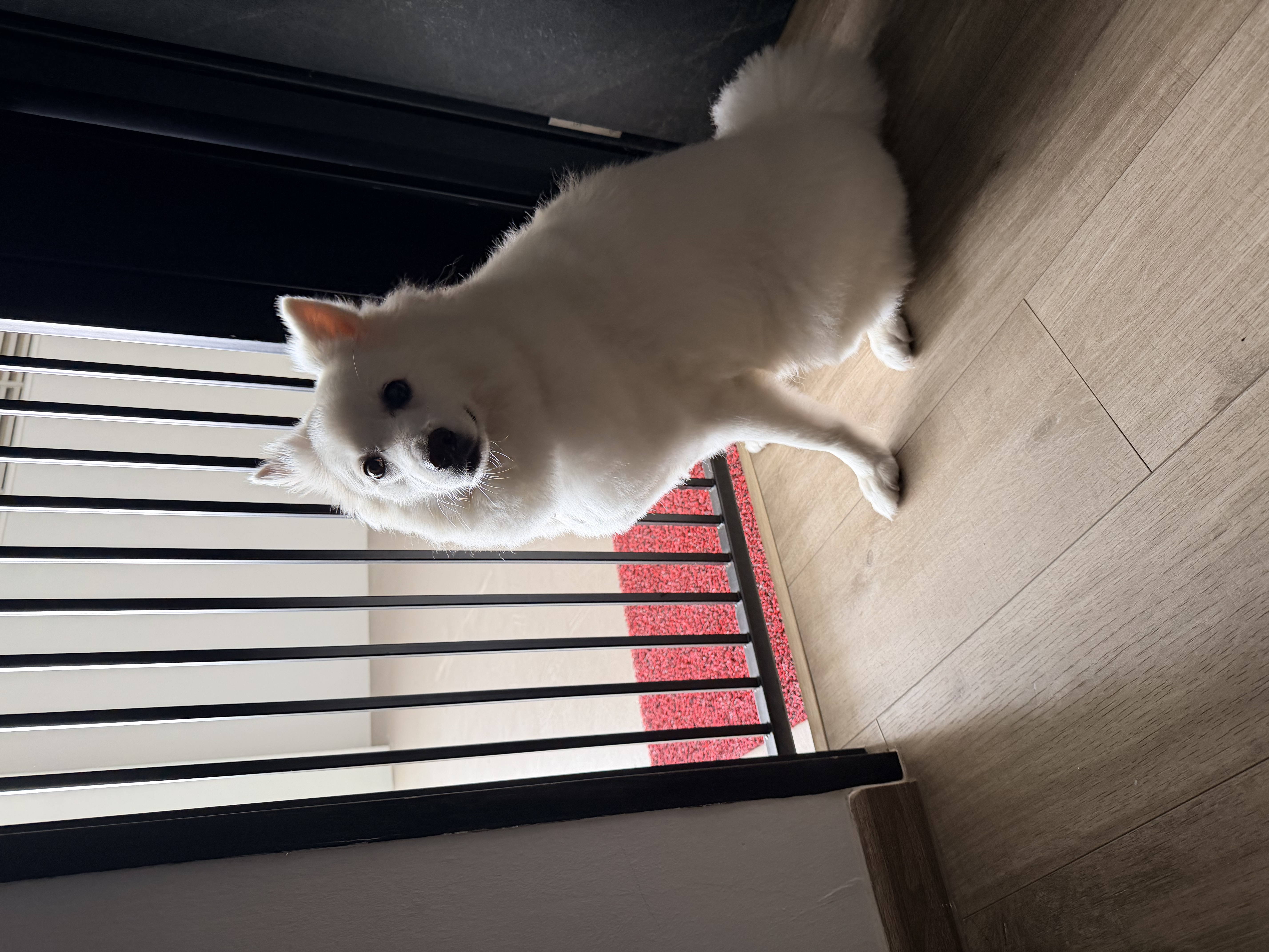 image-8