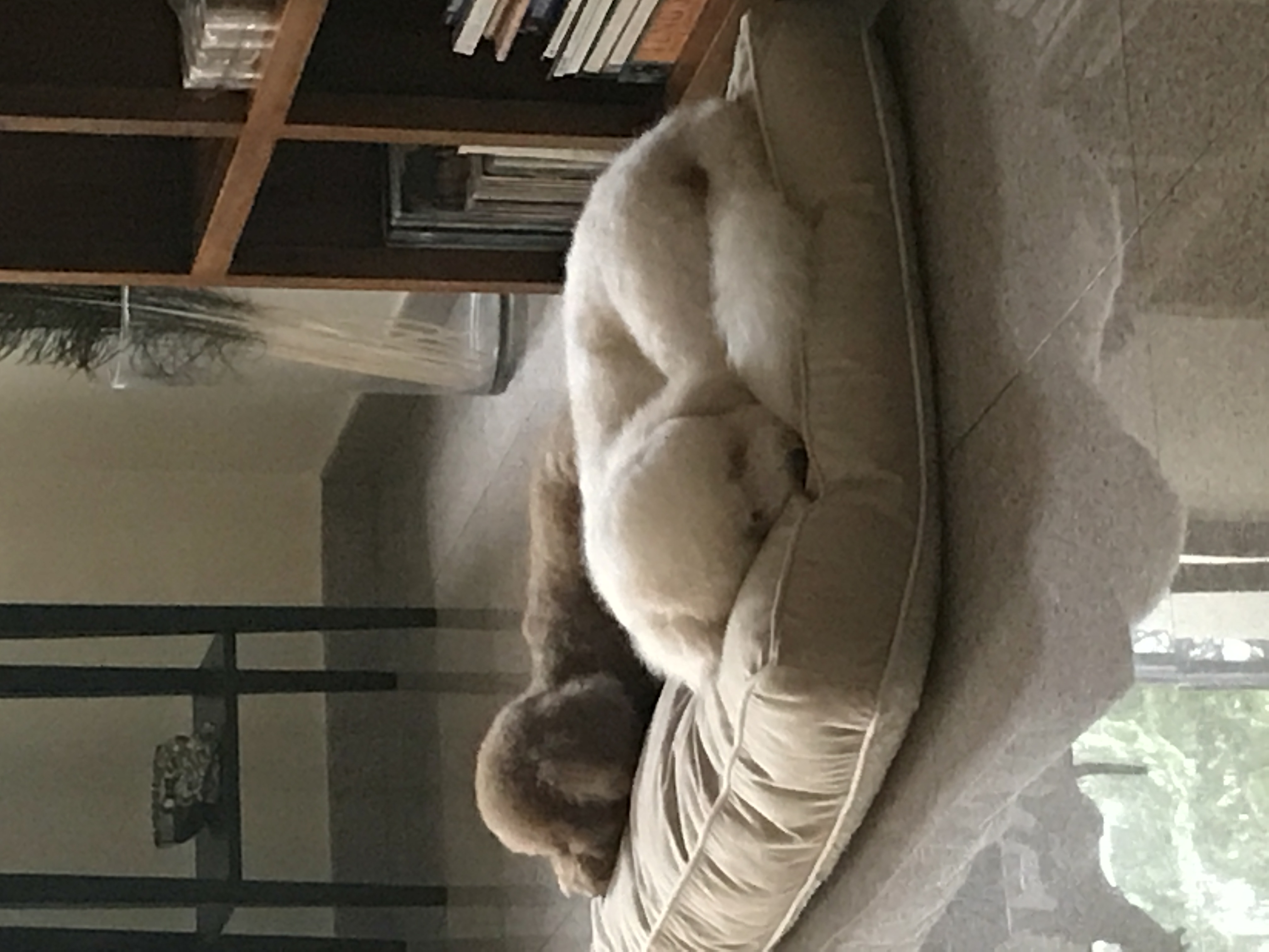 image-5