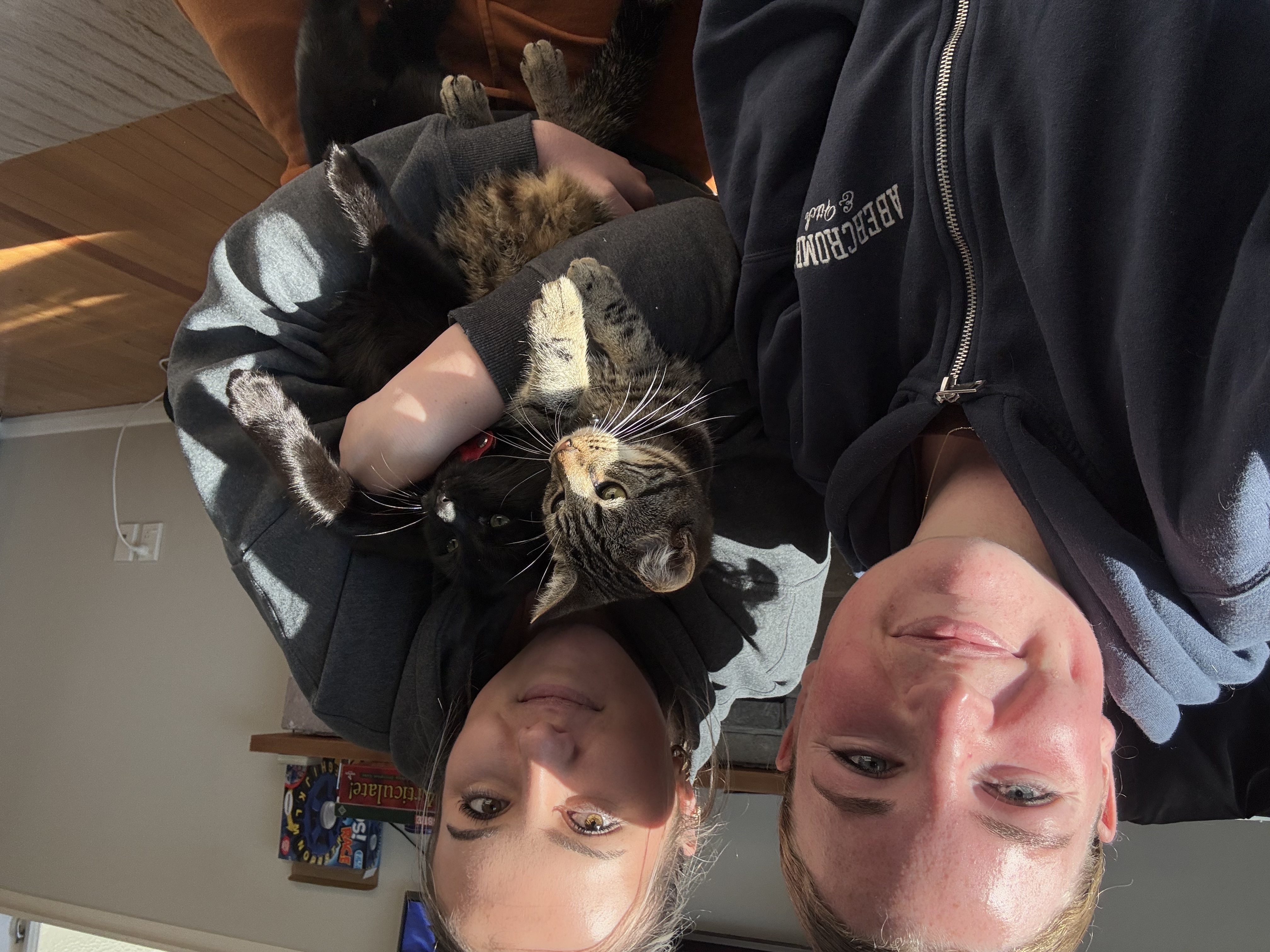 image-1