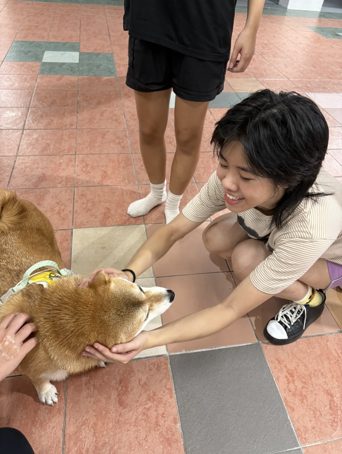 image-1