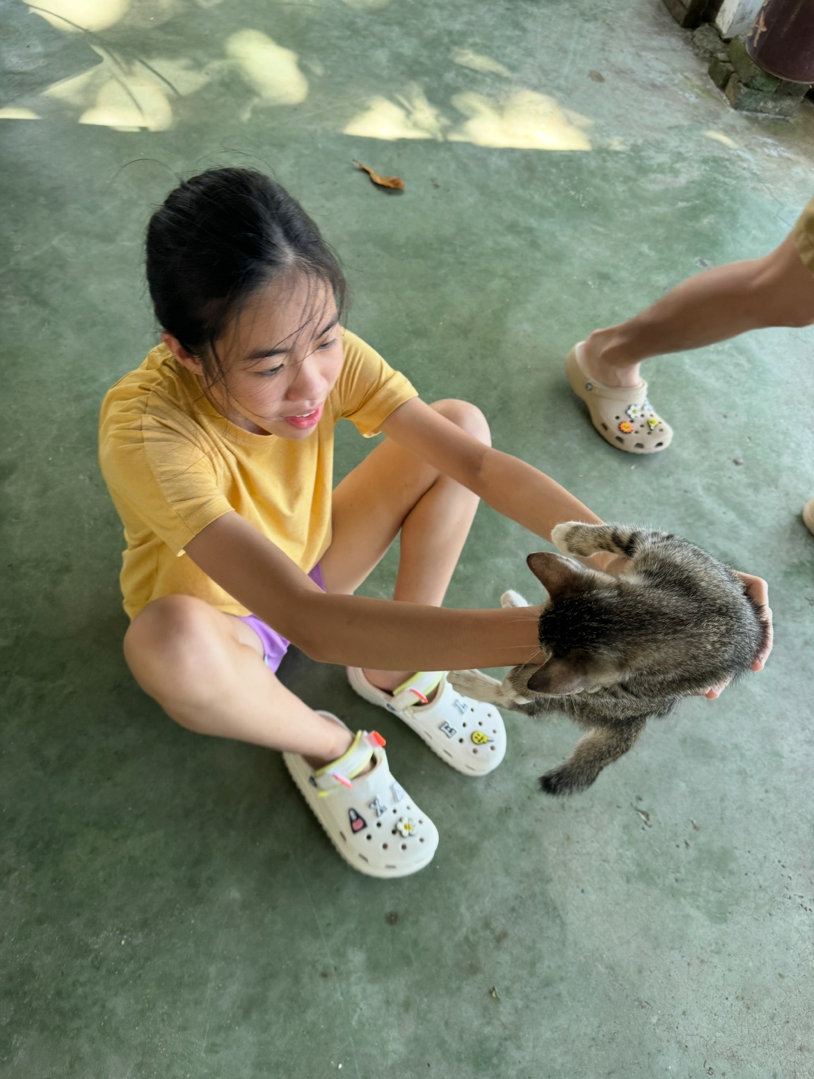 image-7