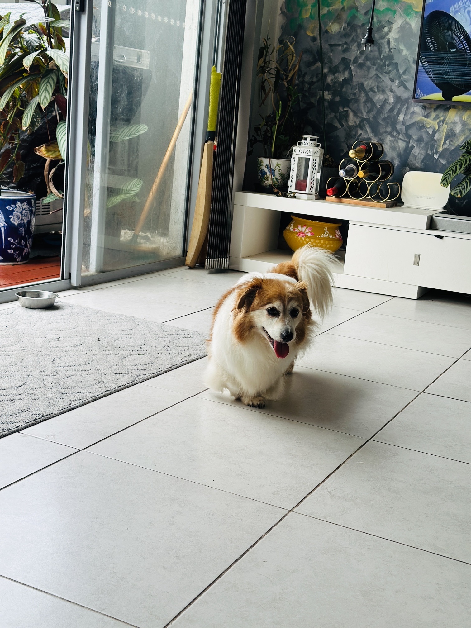 image-41