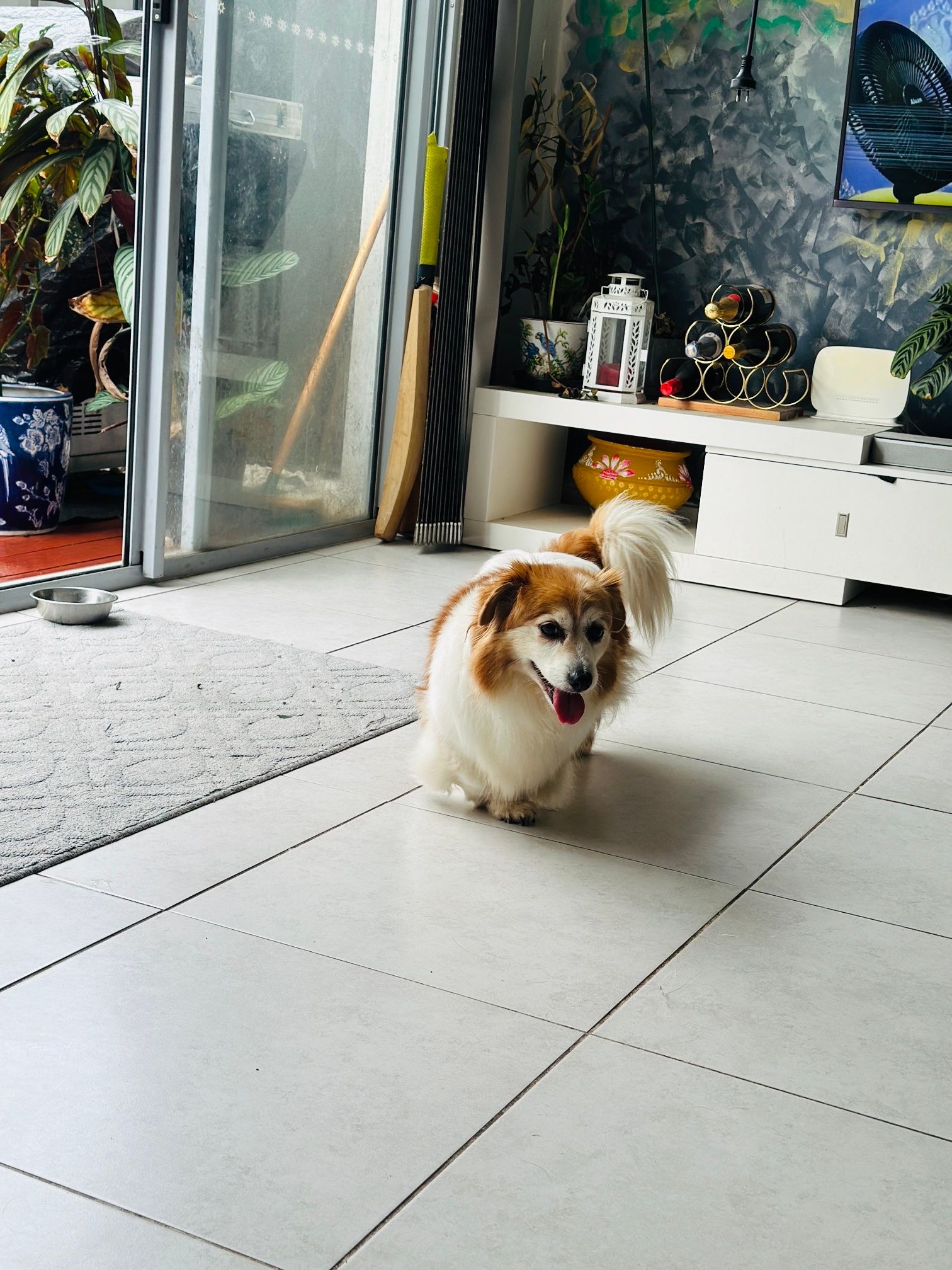 image-41