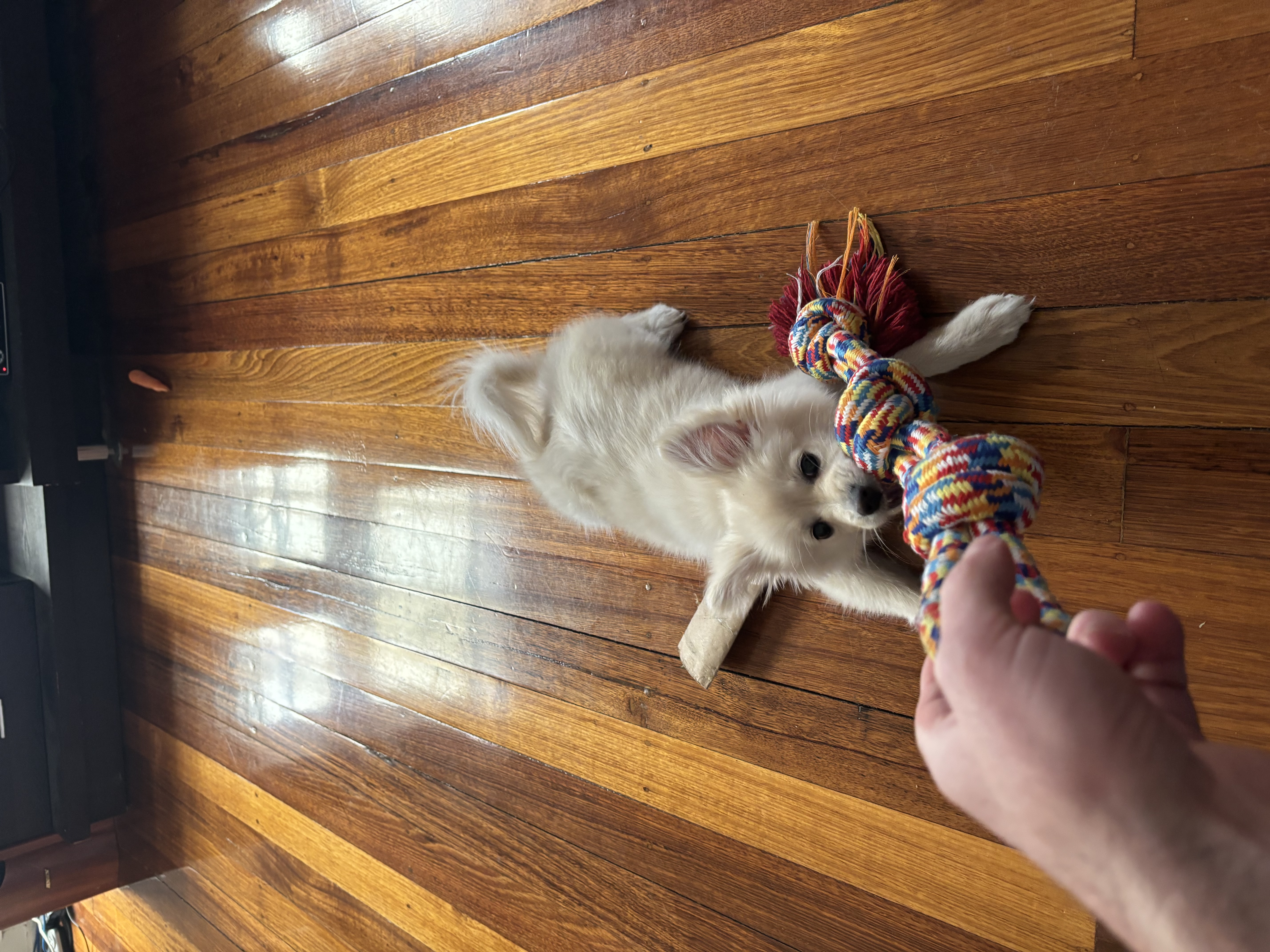 image-9