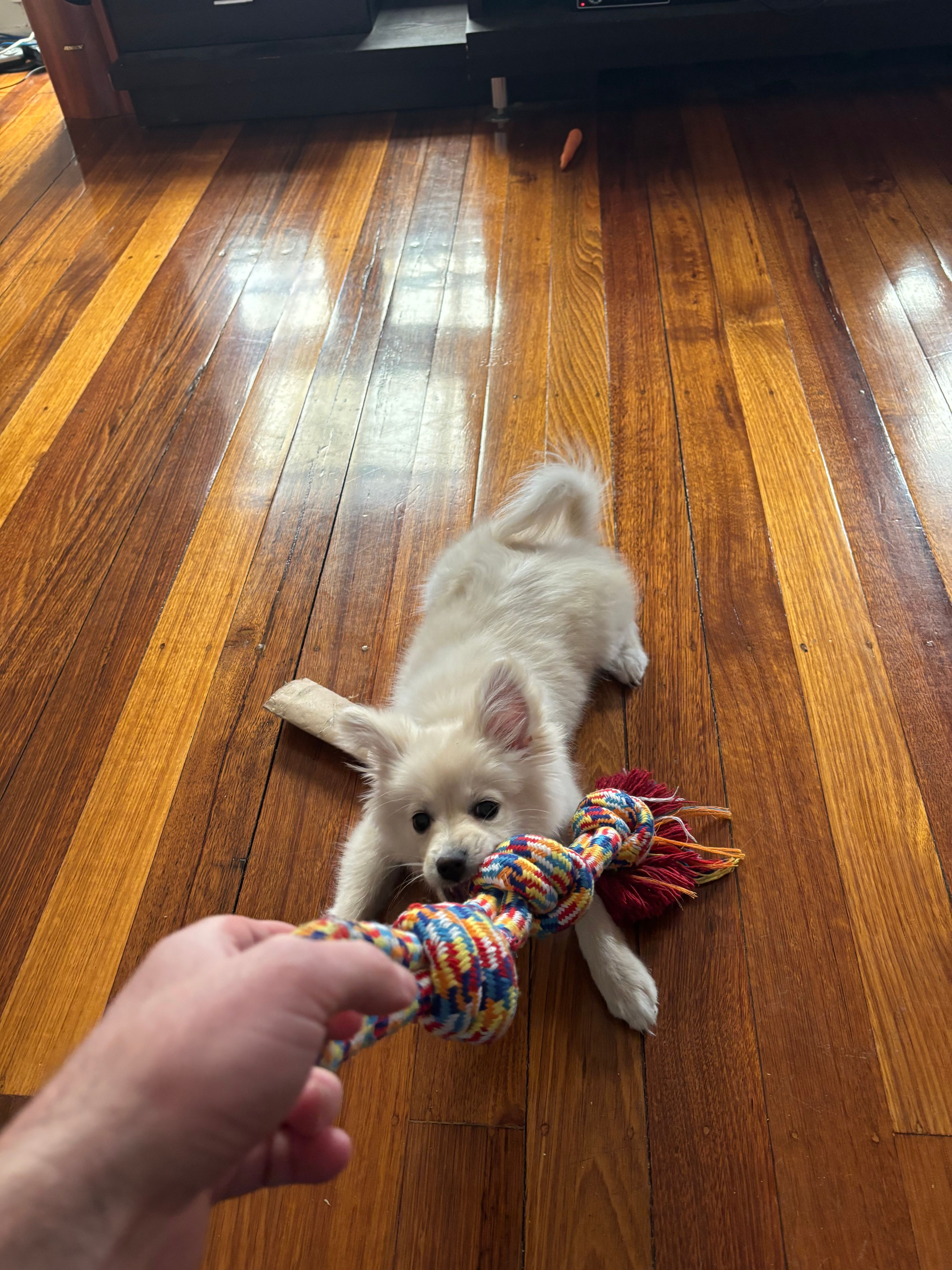 image-9