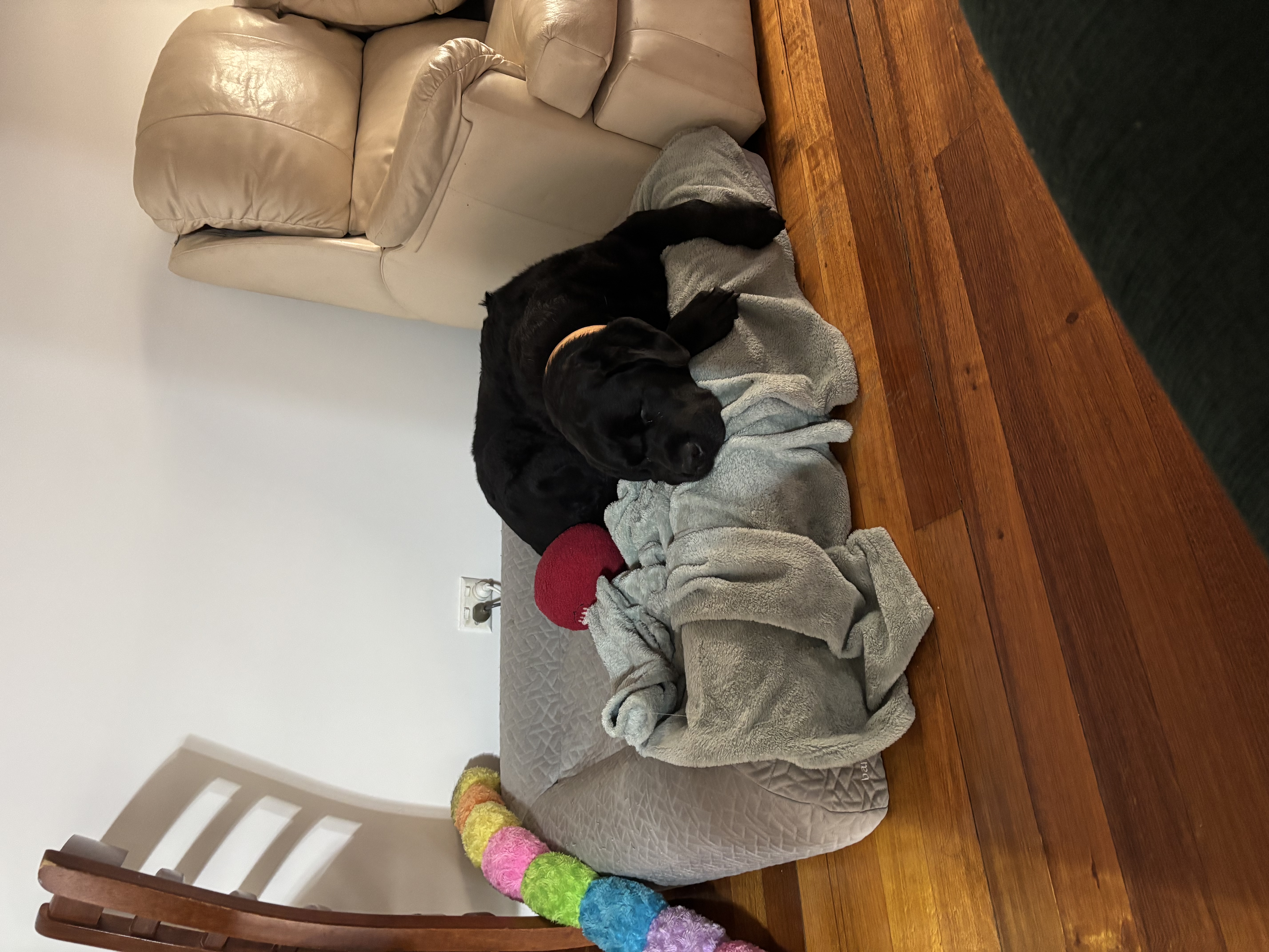 image-14