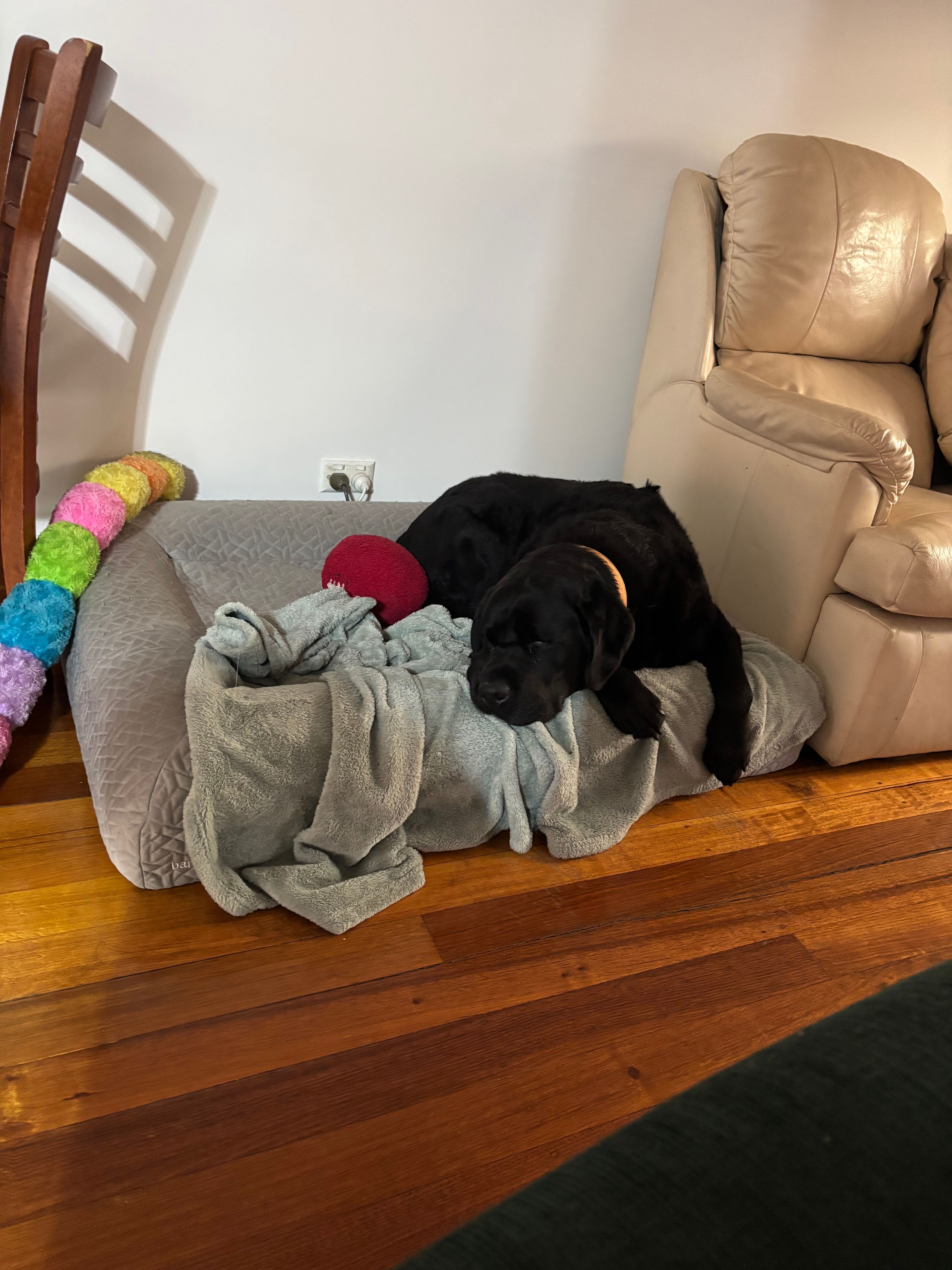 image-14