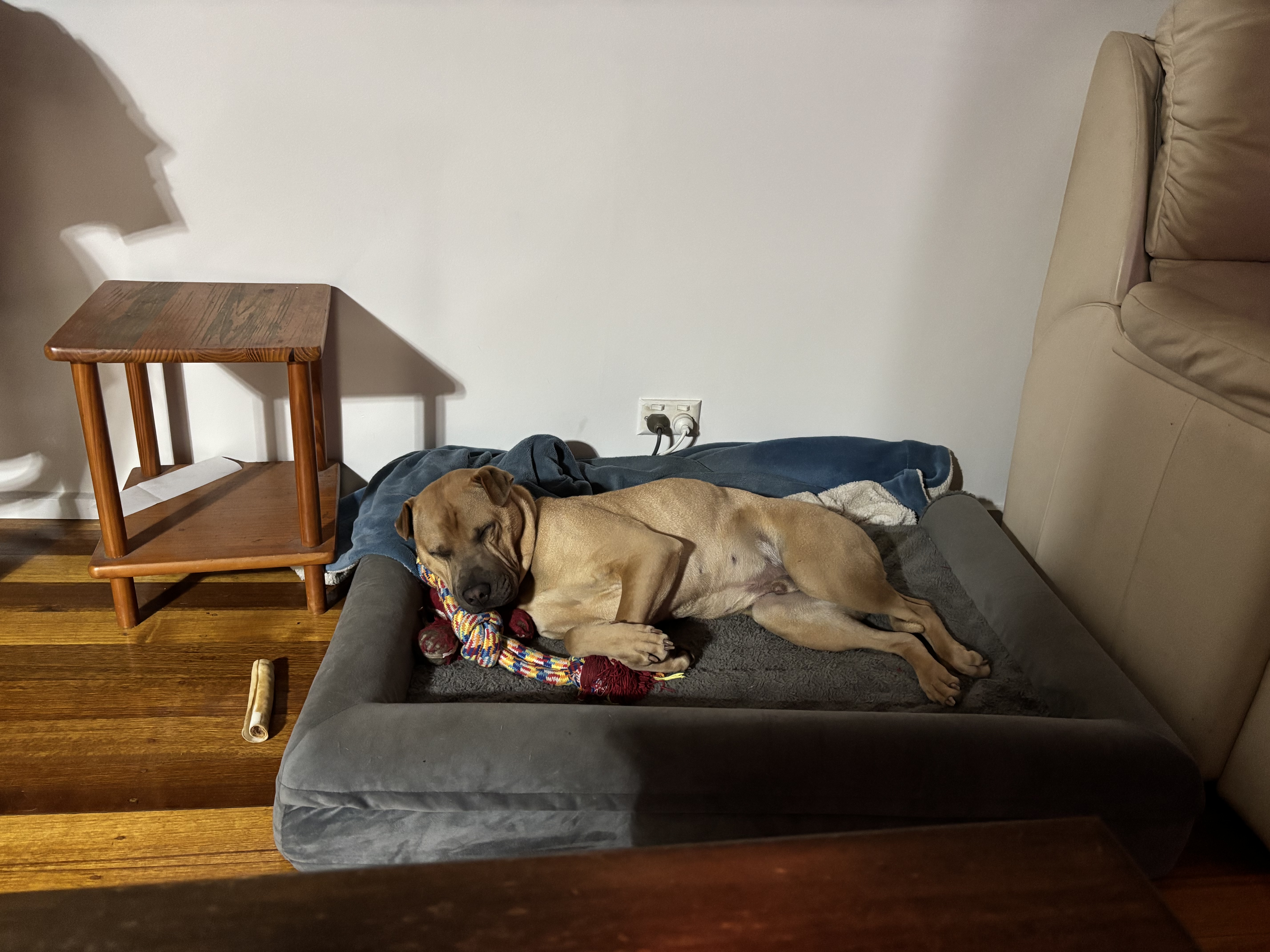 image-13