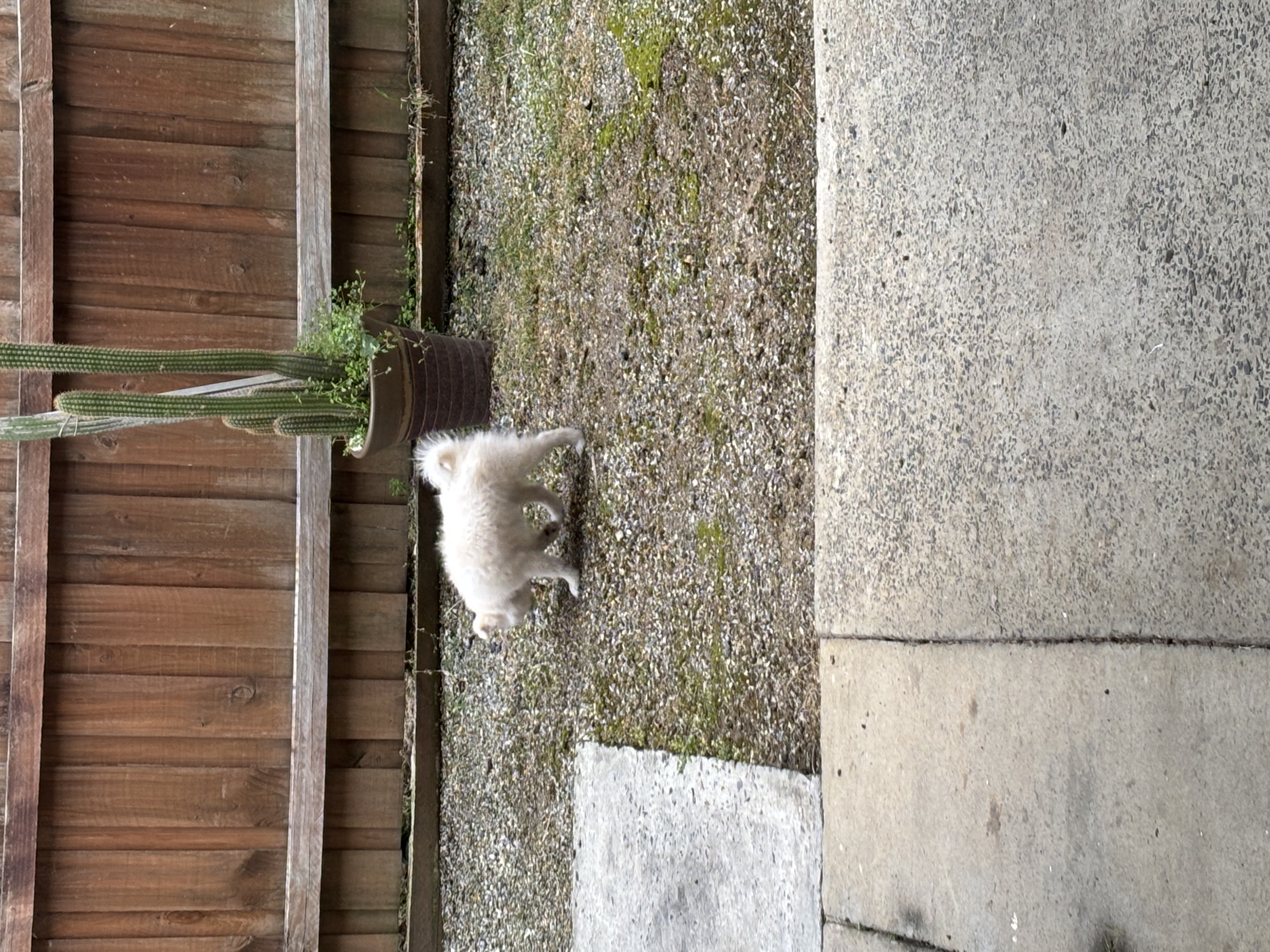 image-14