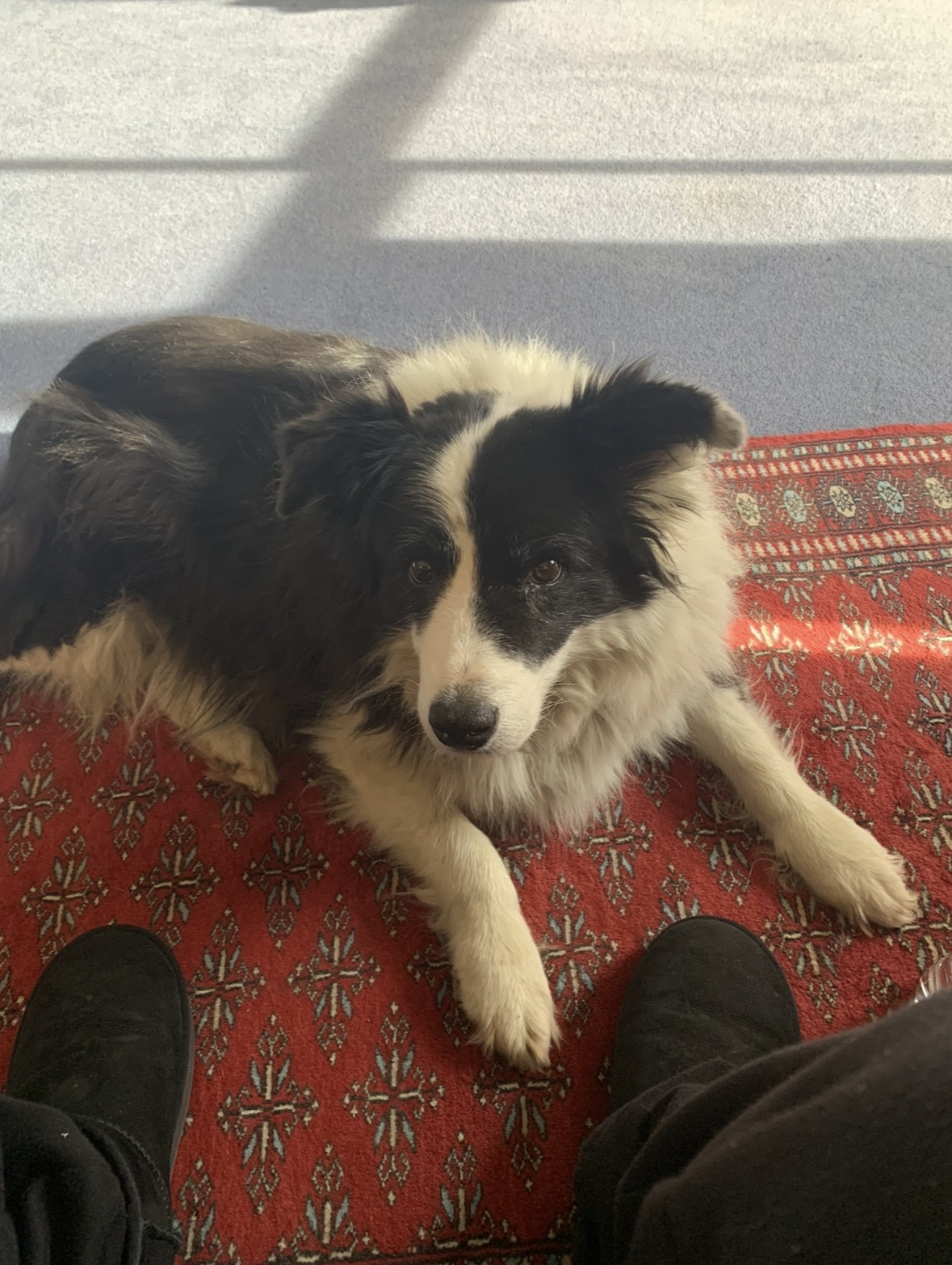 image-10
