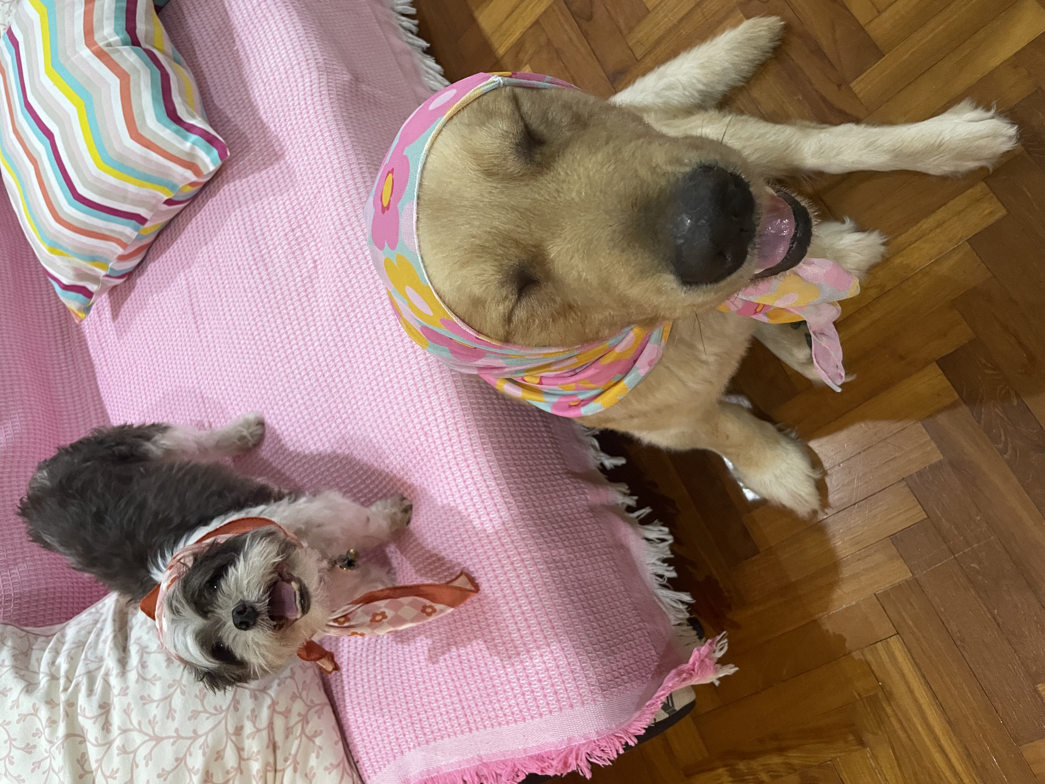 image-28