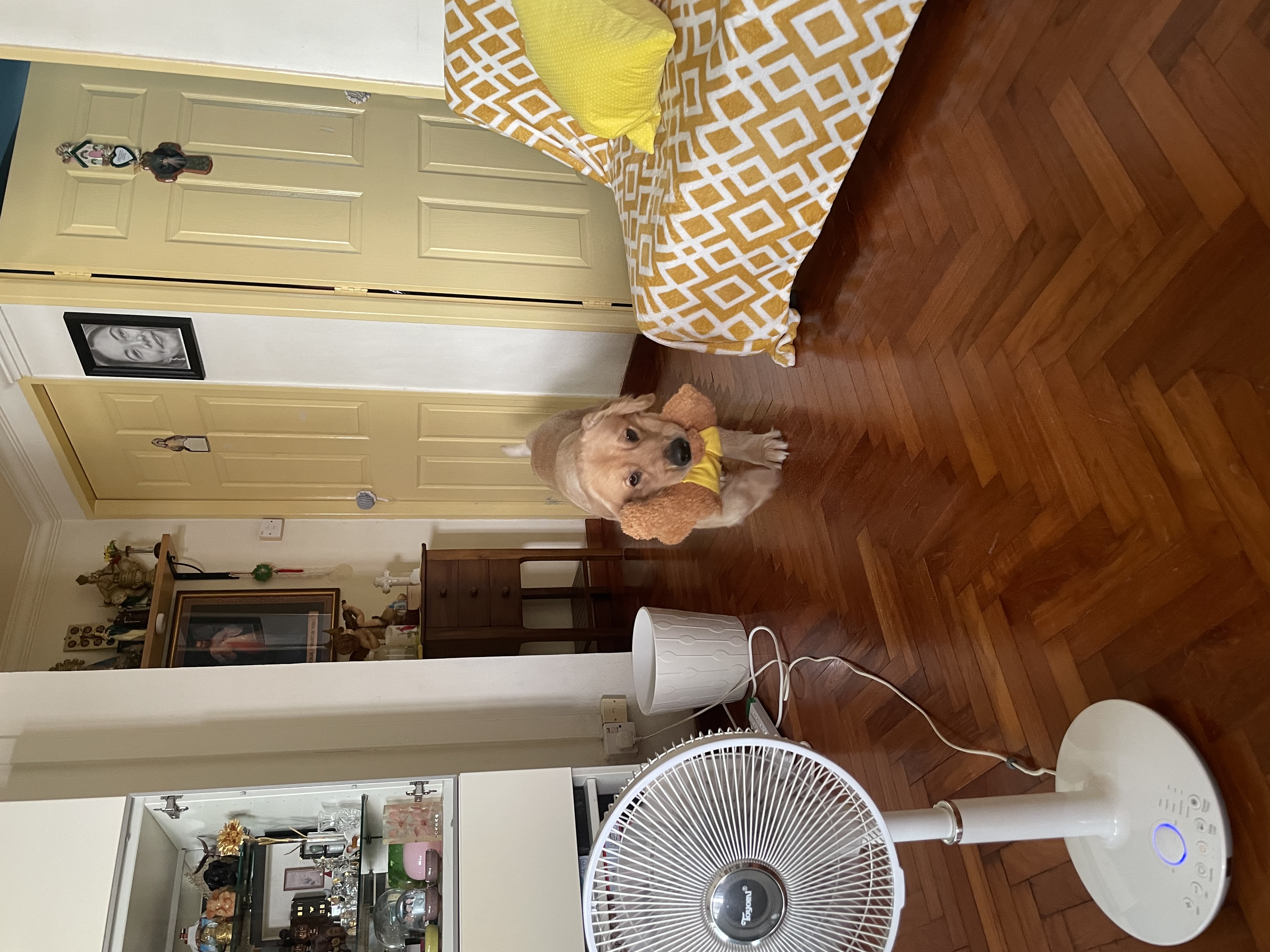 image-29