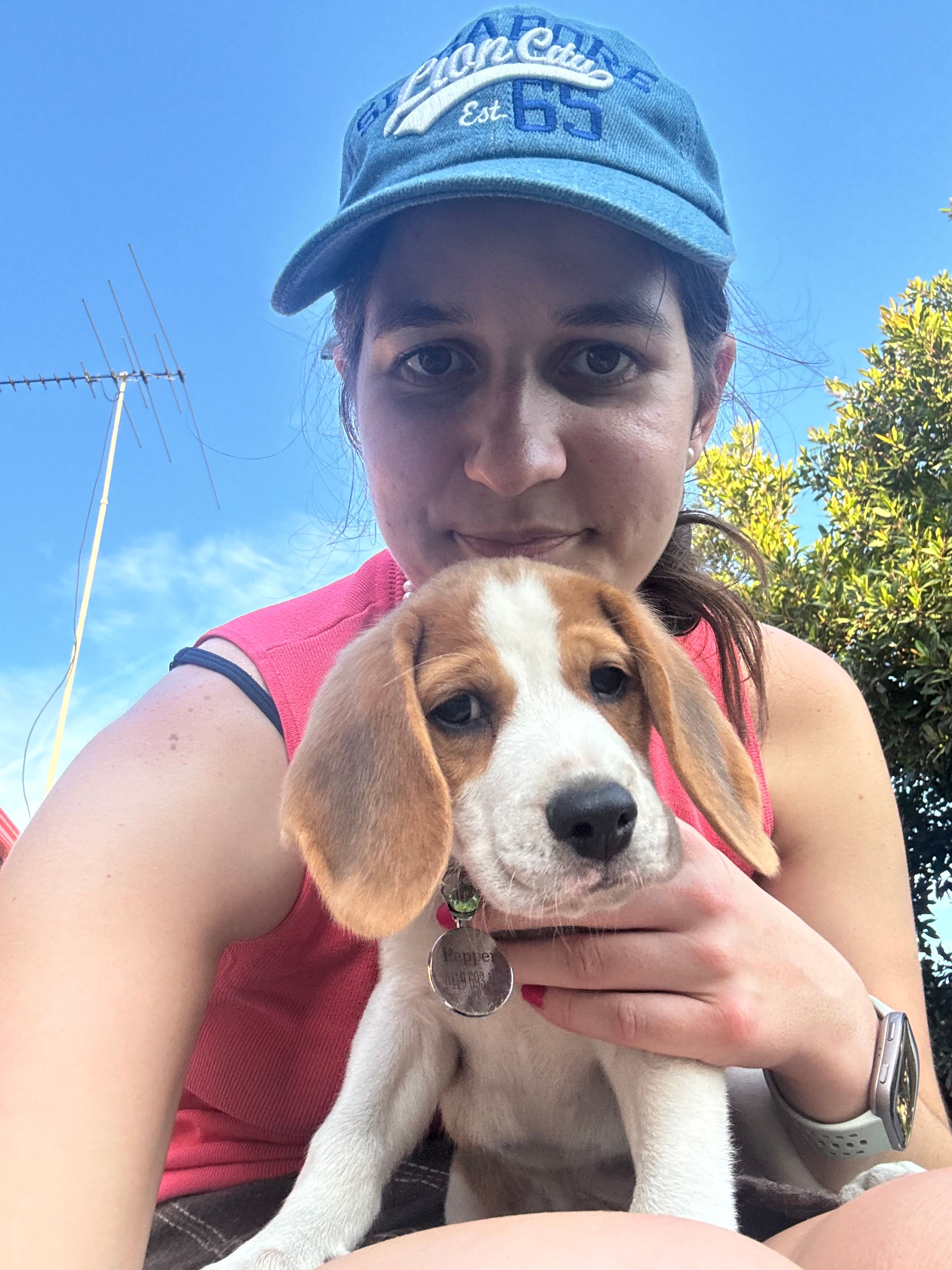 image-26