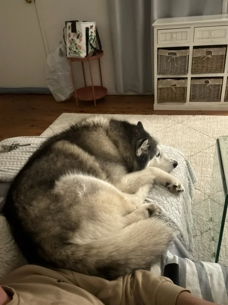 image-13