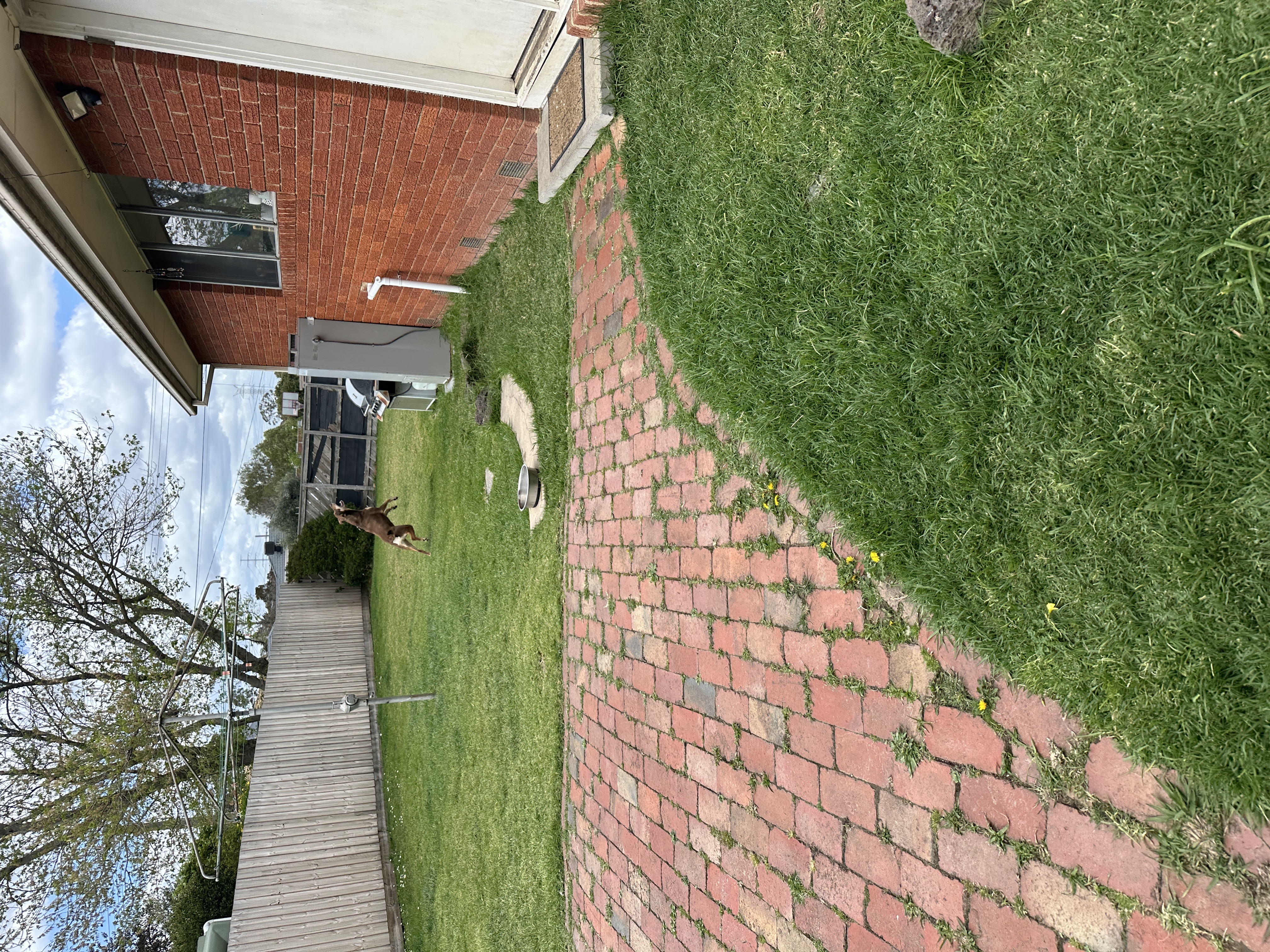 image-4