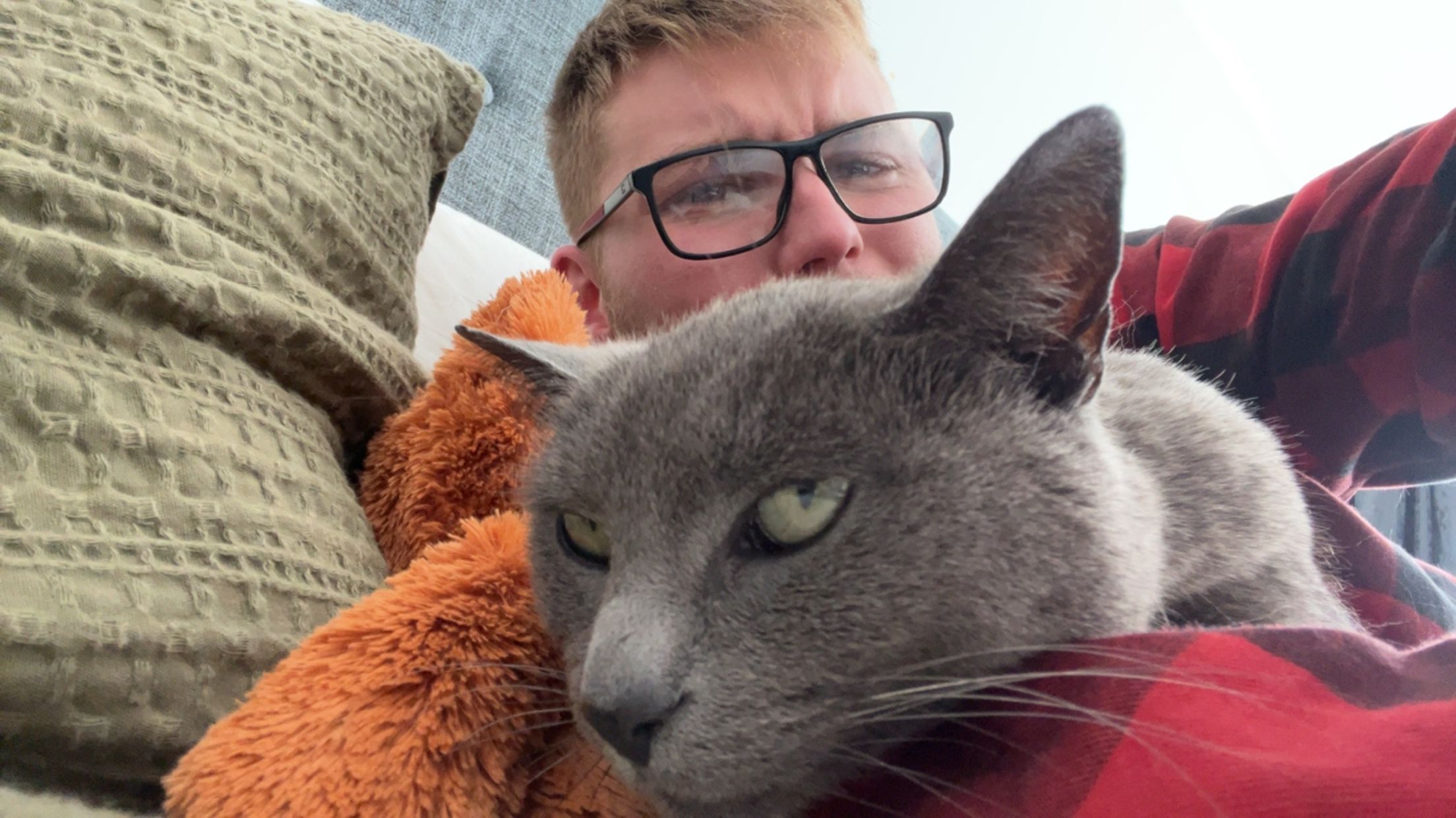 image-8
