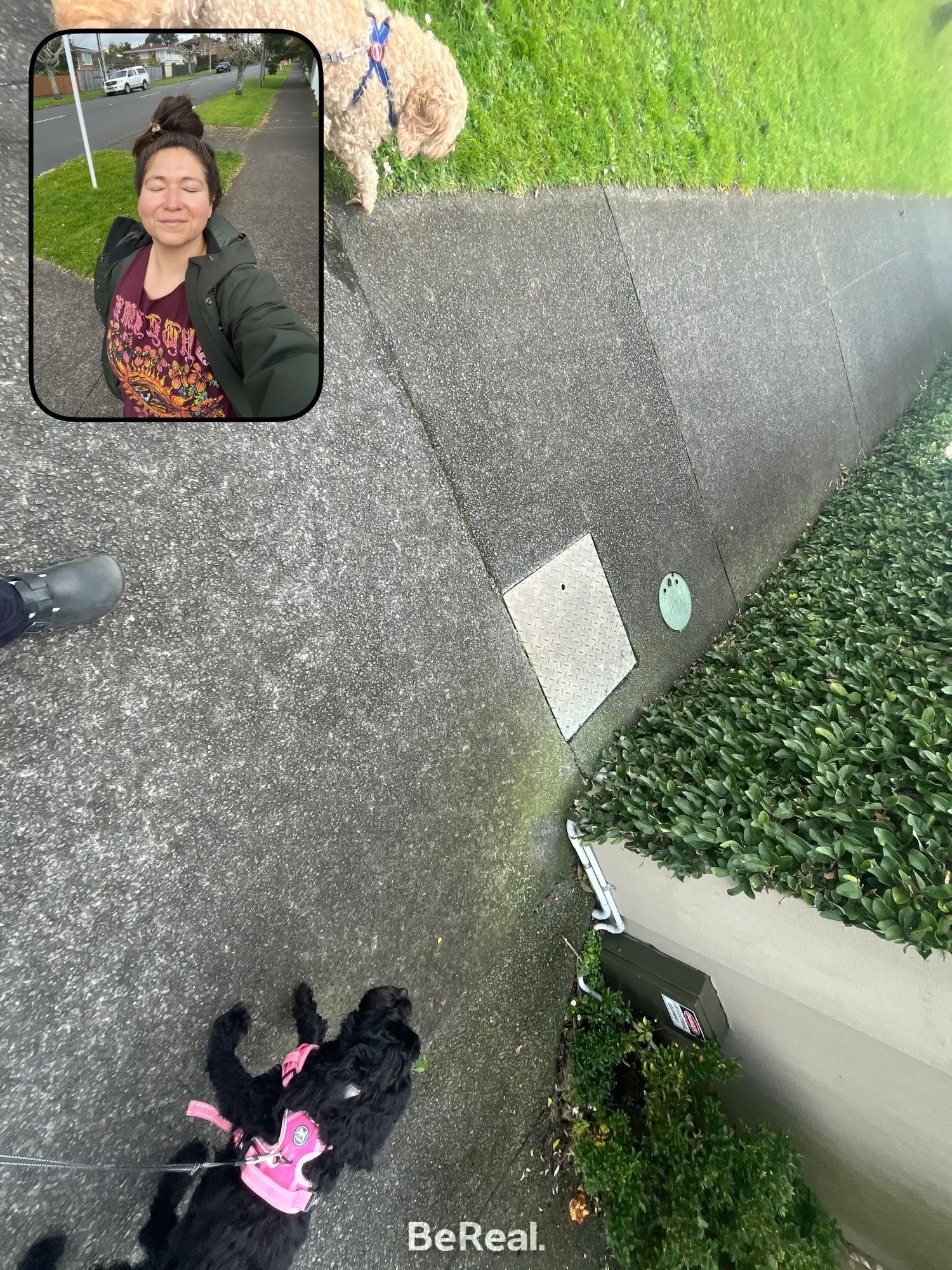 image-5