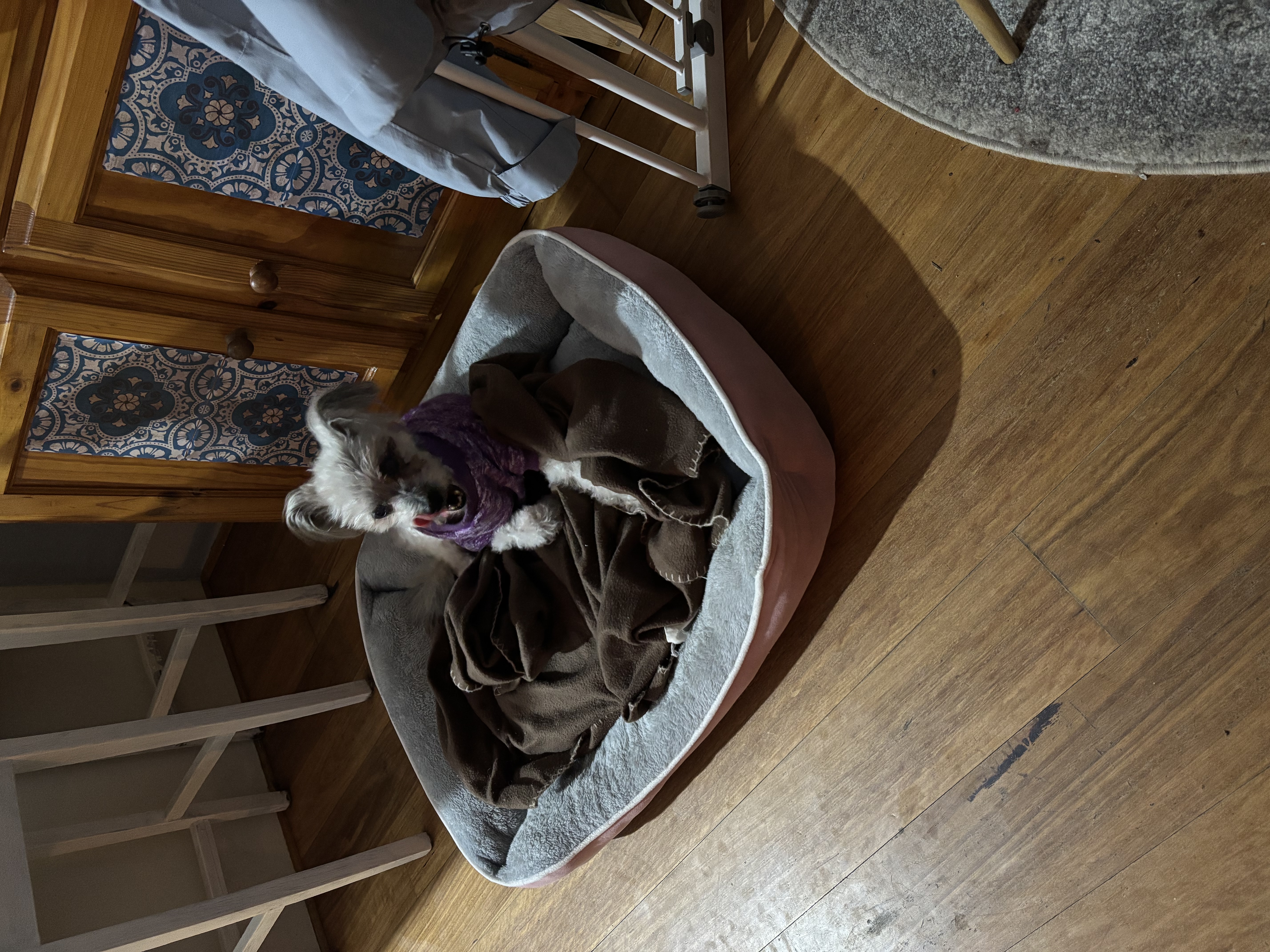 image-2