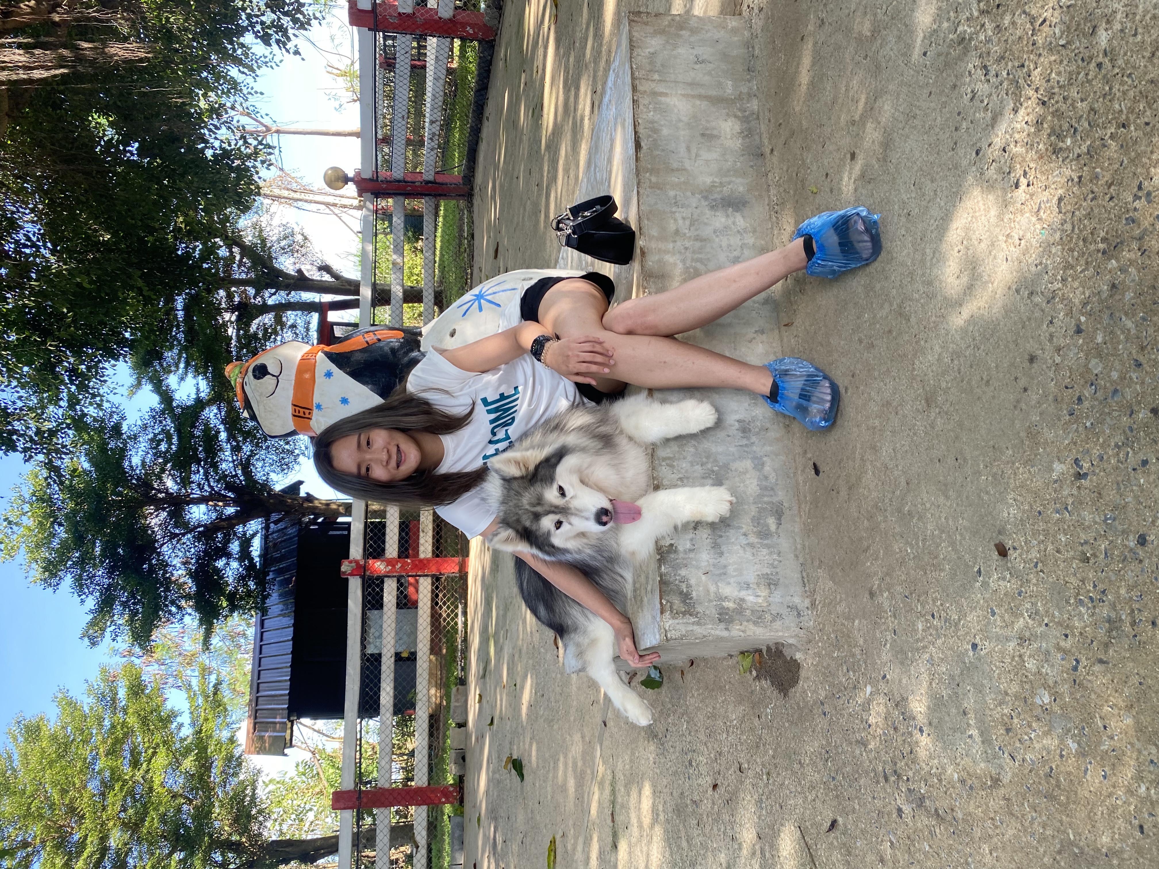 image-7