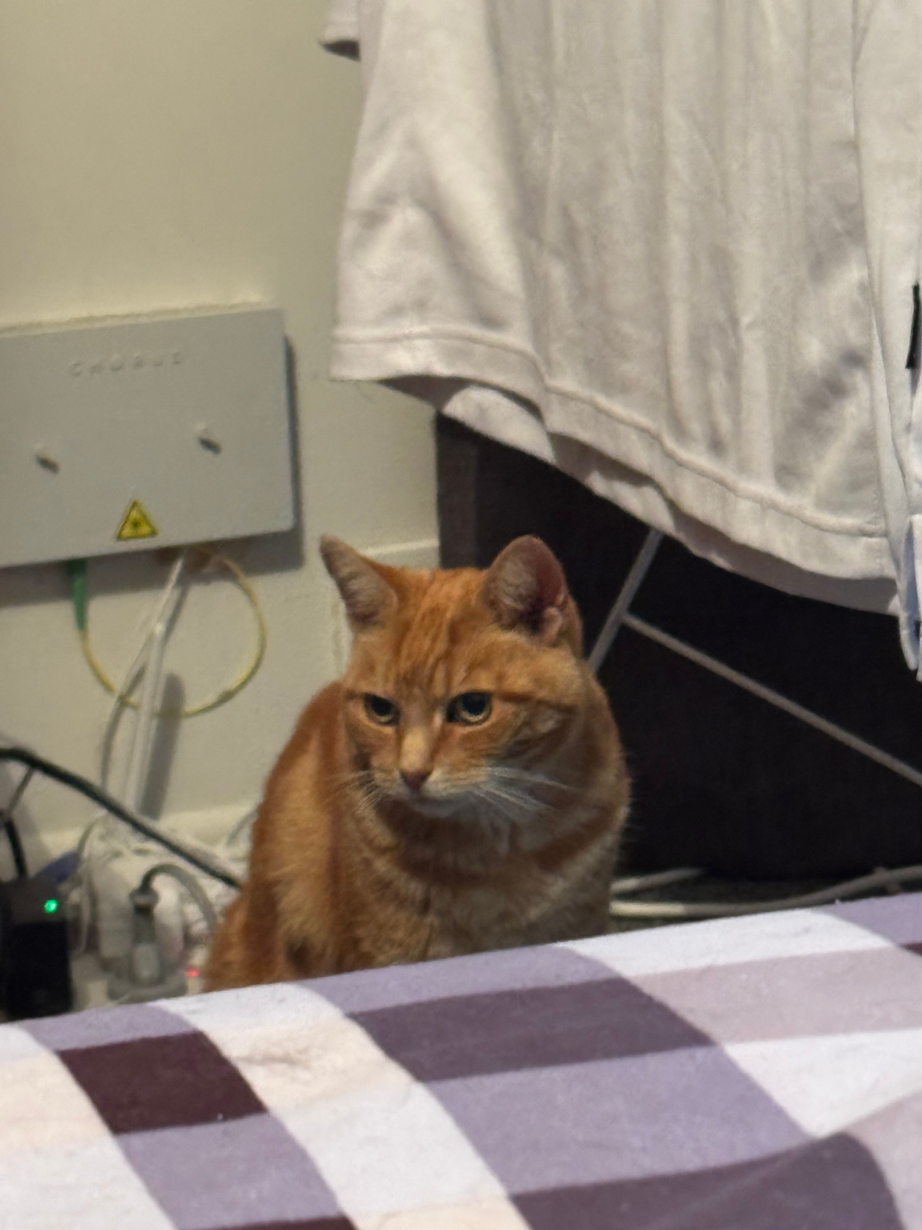 image-10