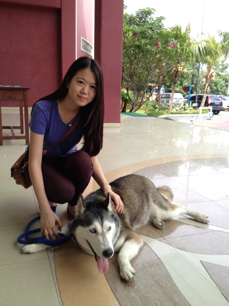 image-7