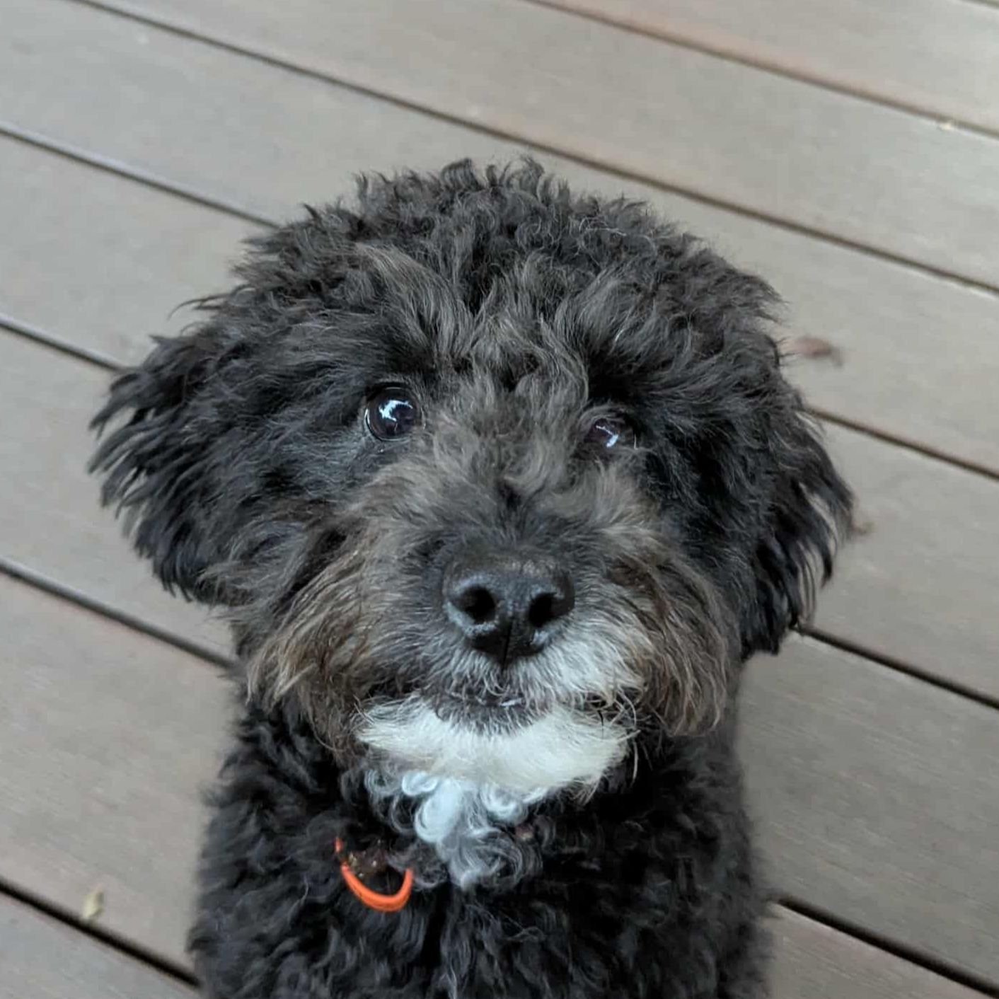 Luna