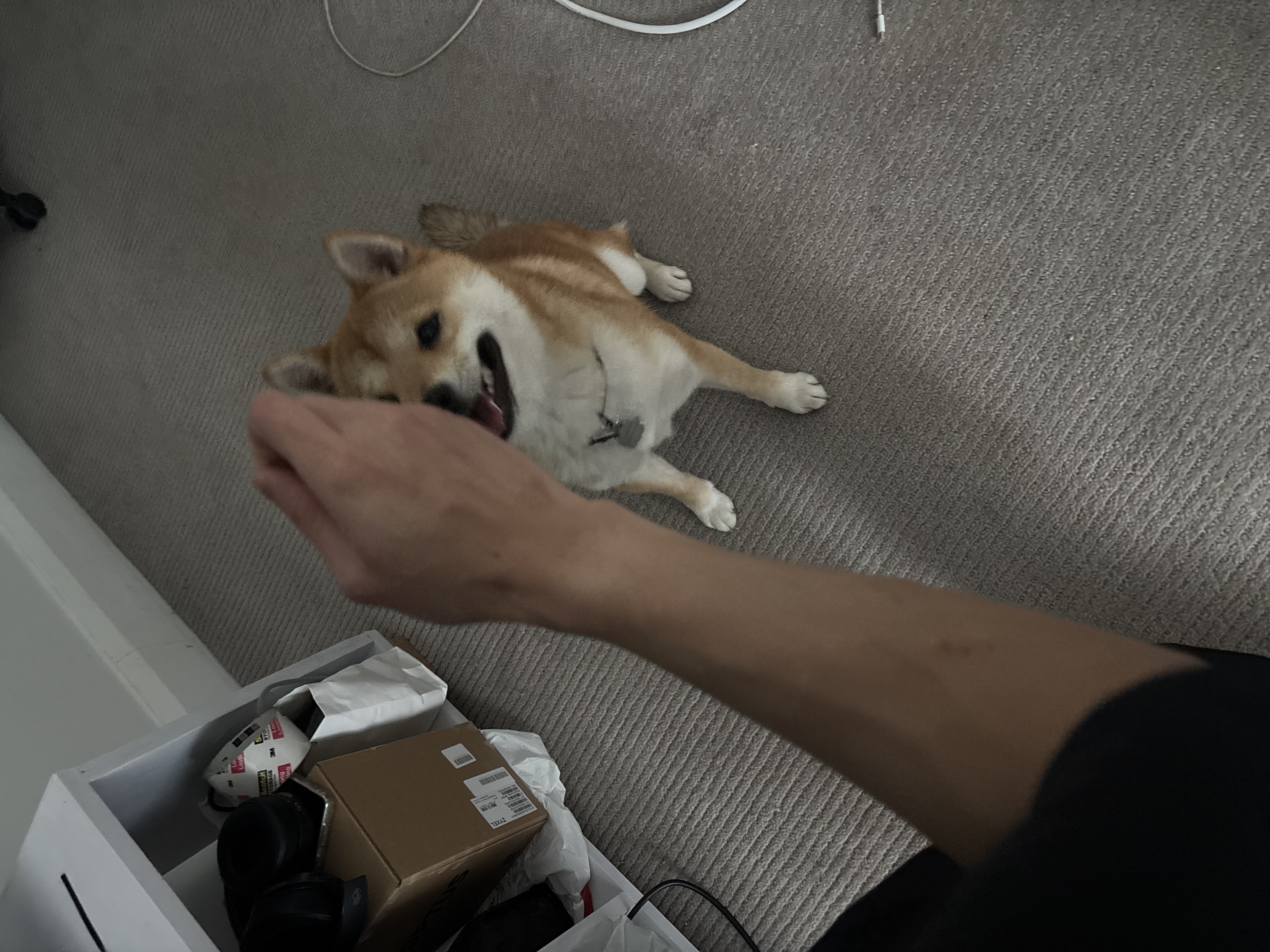 image-6