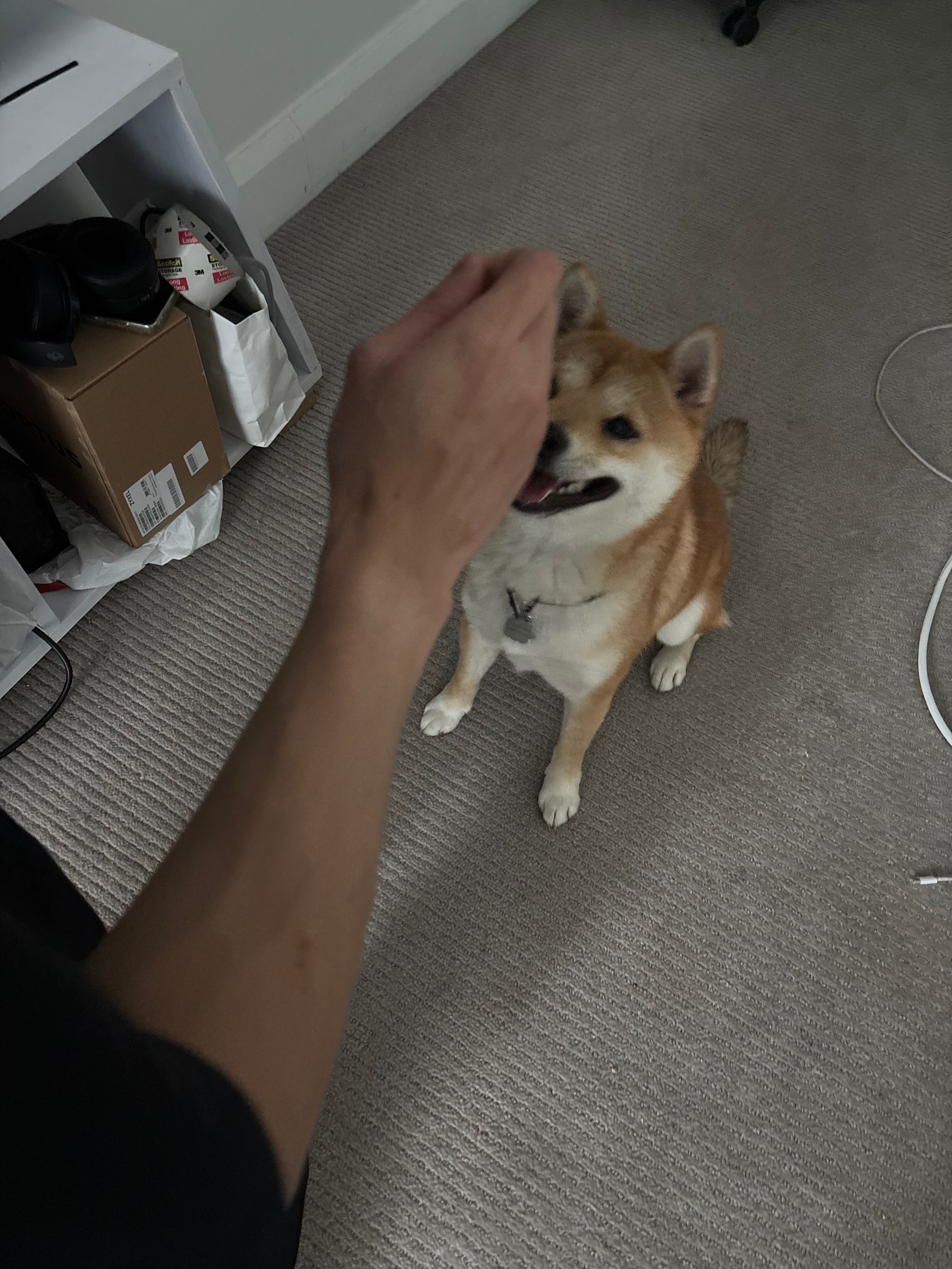 image-6