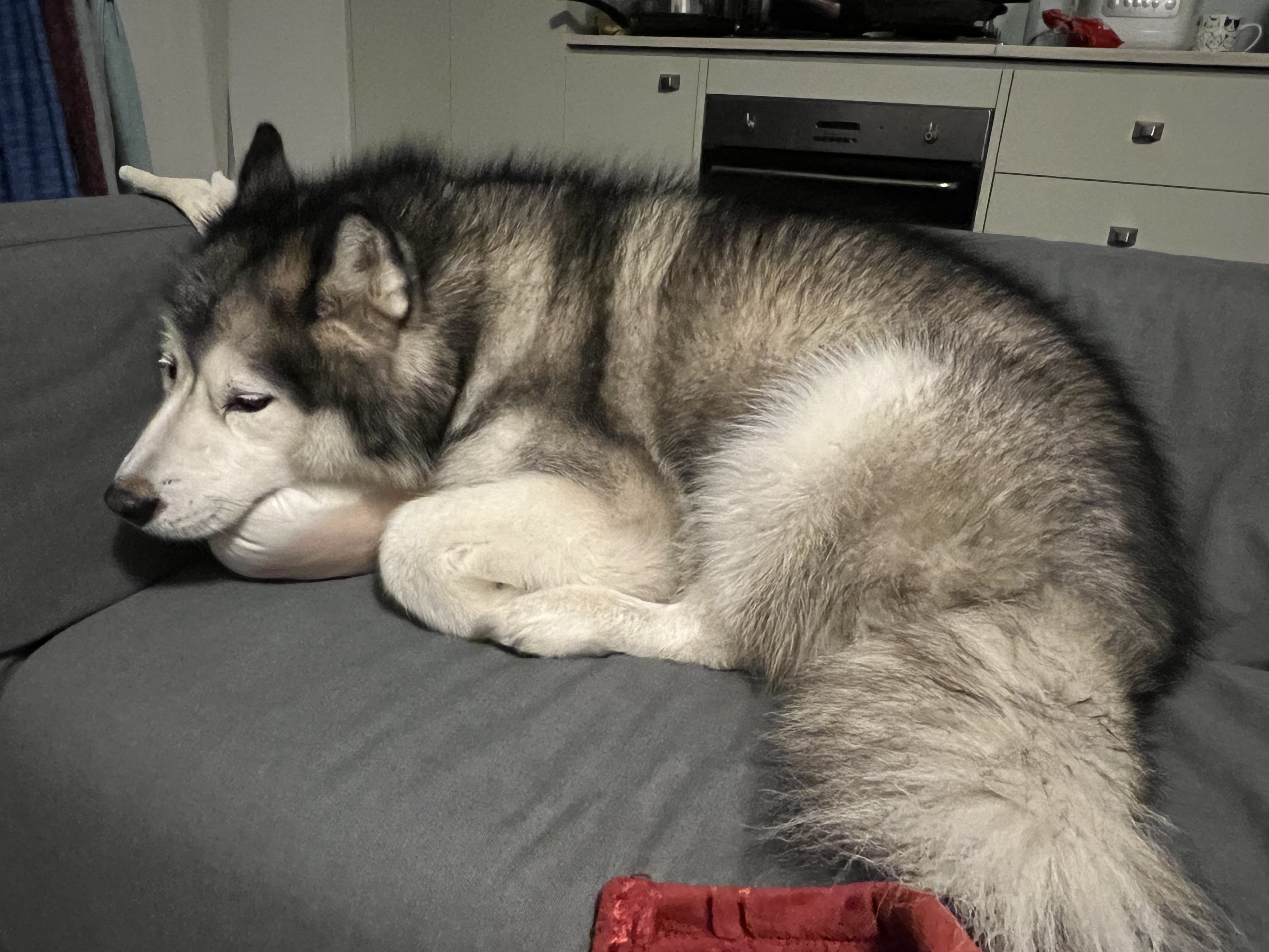 image-9
