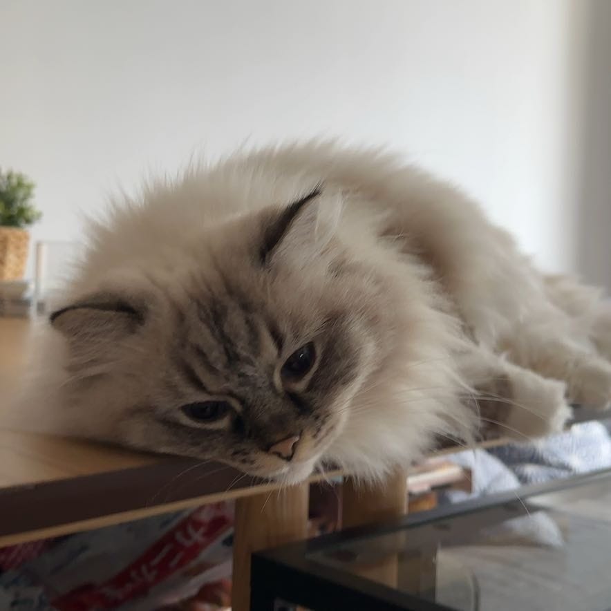 Rosie