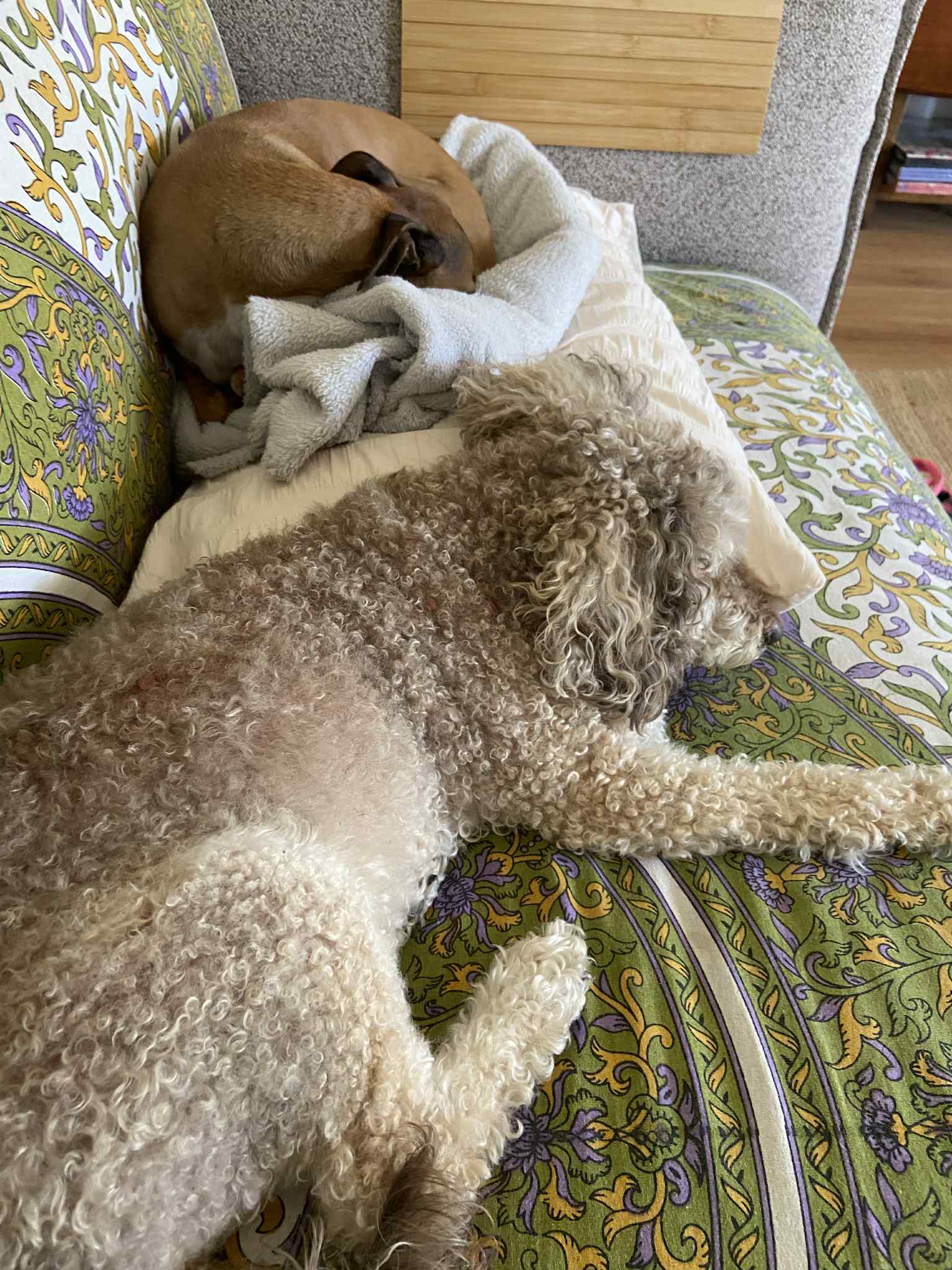 image-11