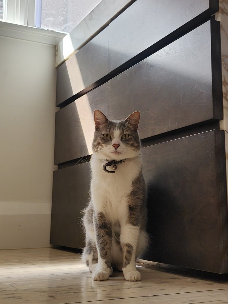 image-6
