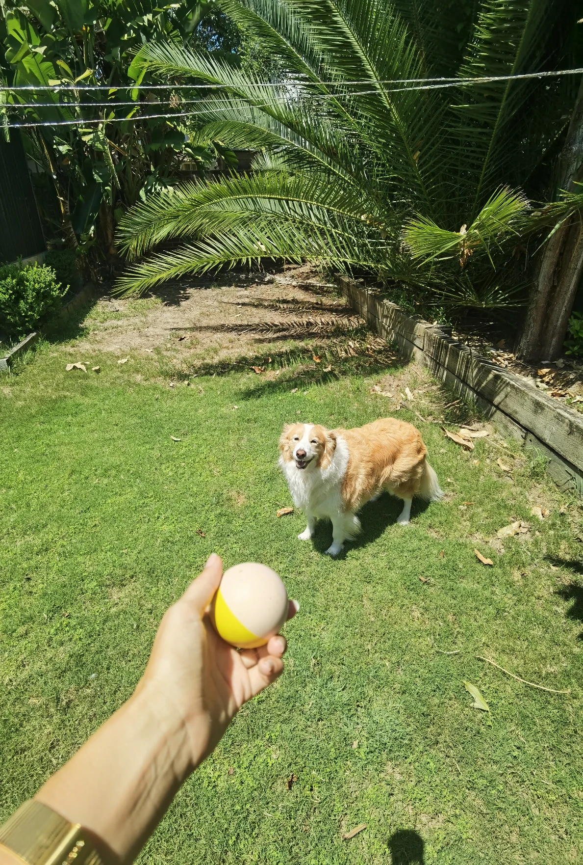 image-11