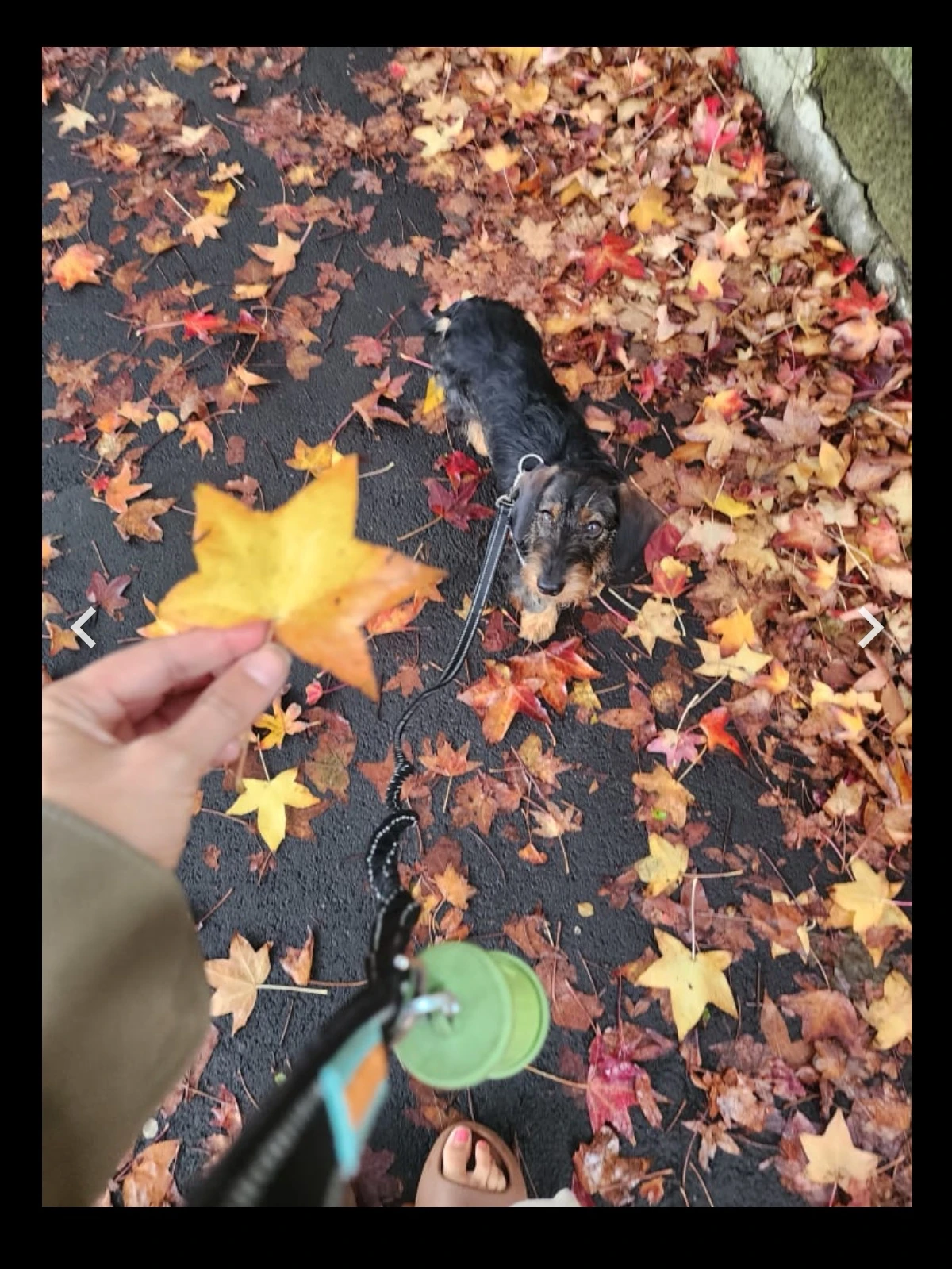 image-13