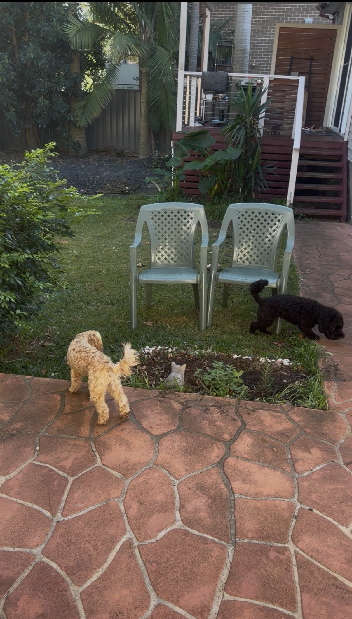image-23