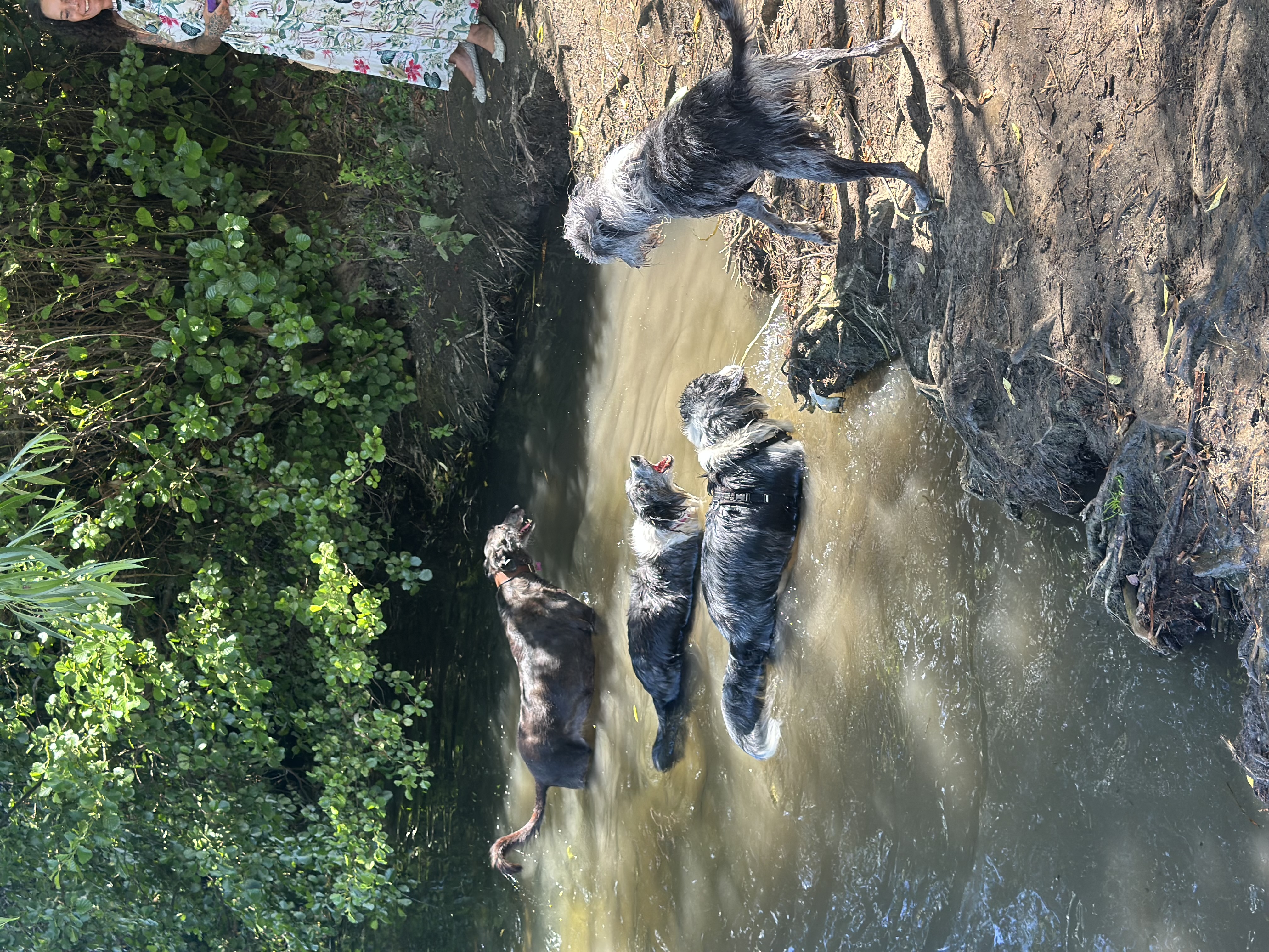 image-10