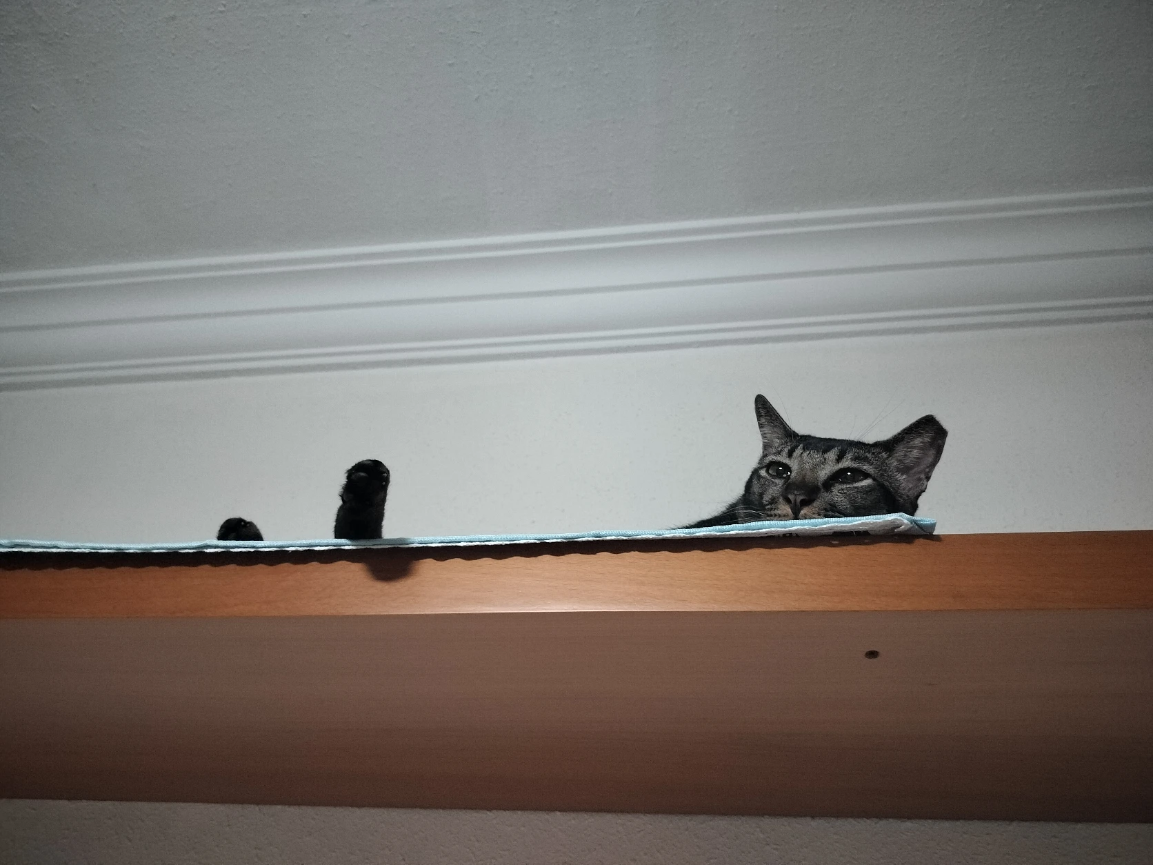 image-19